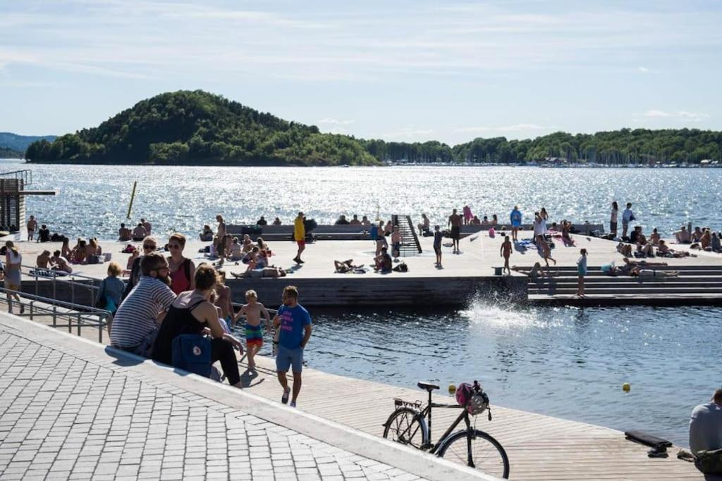 Central Oslo Hideout