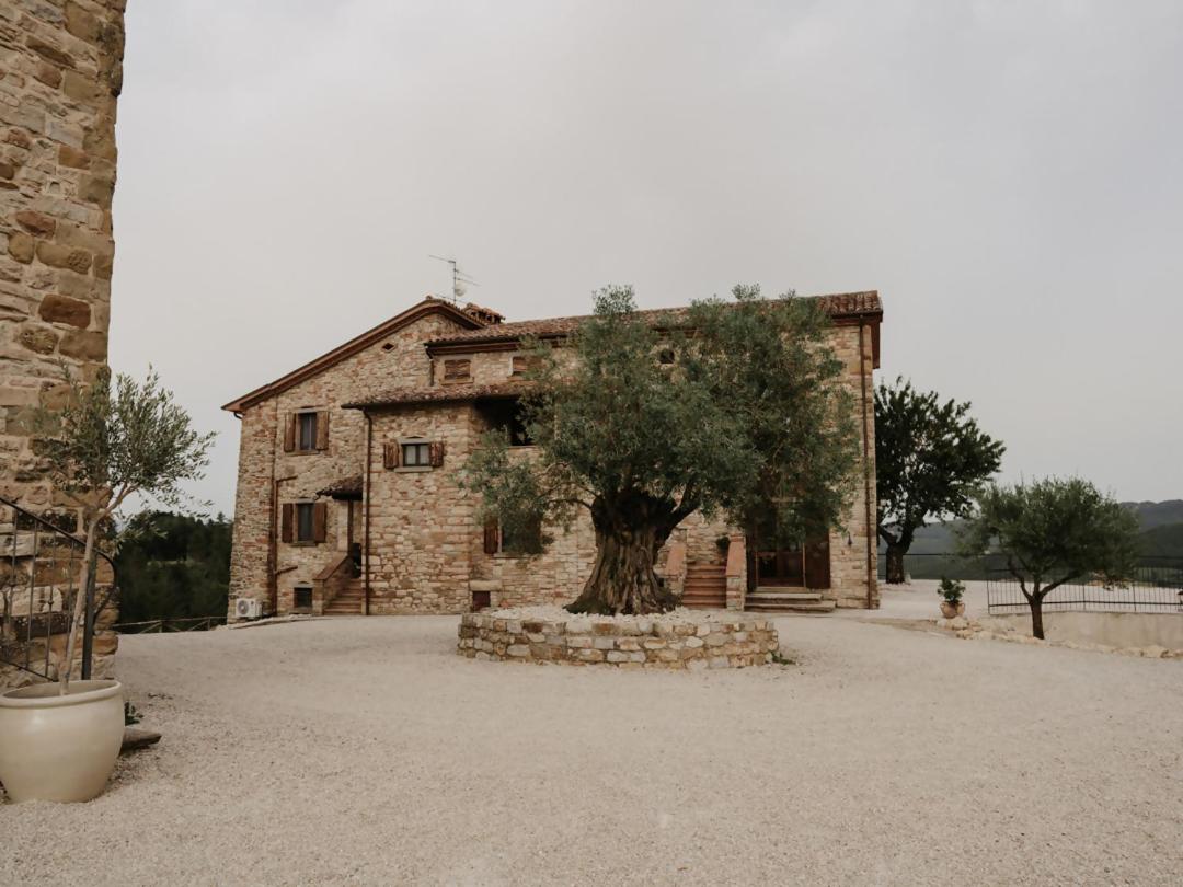 Torre di Celle photo 5