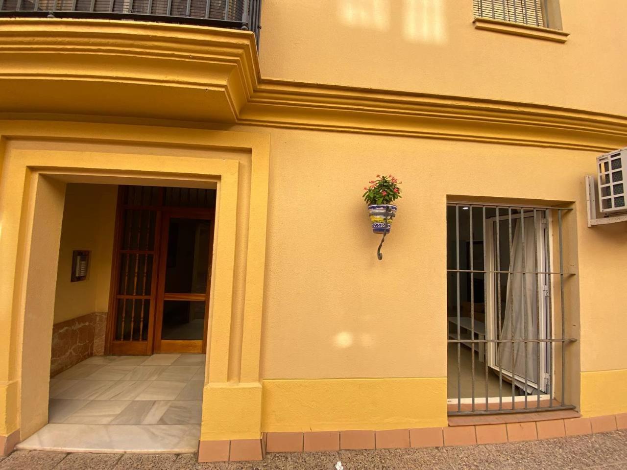 Banda Playa Home, pleno centro view 5