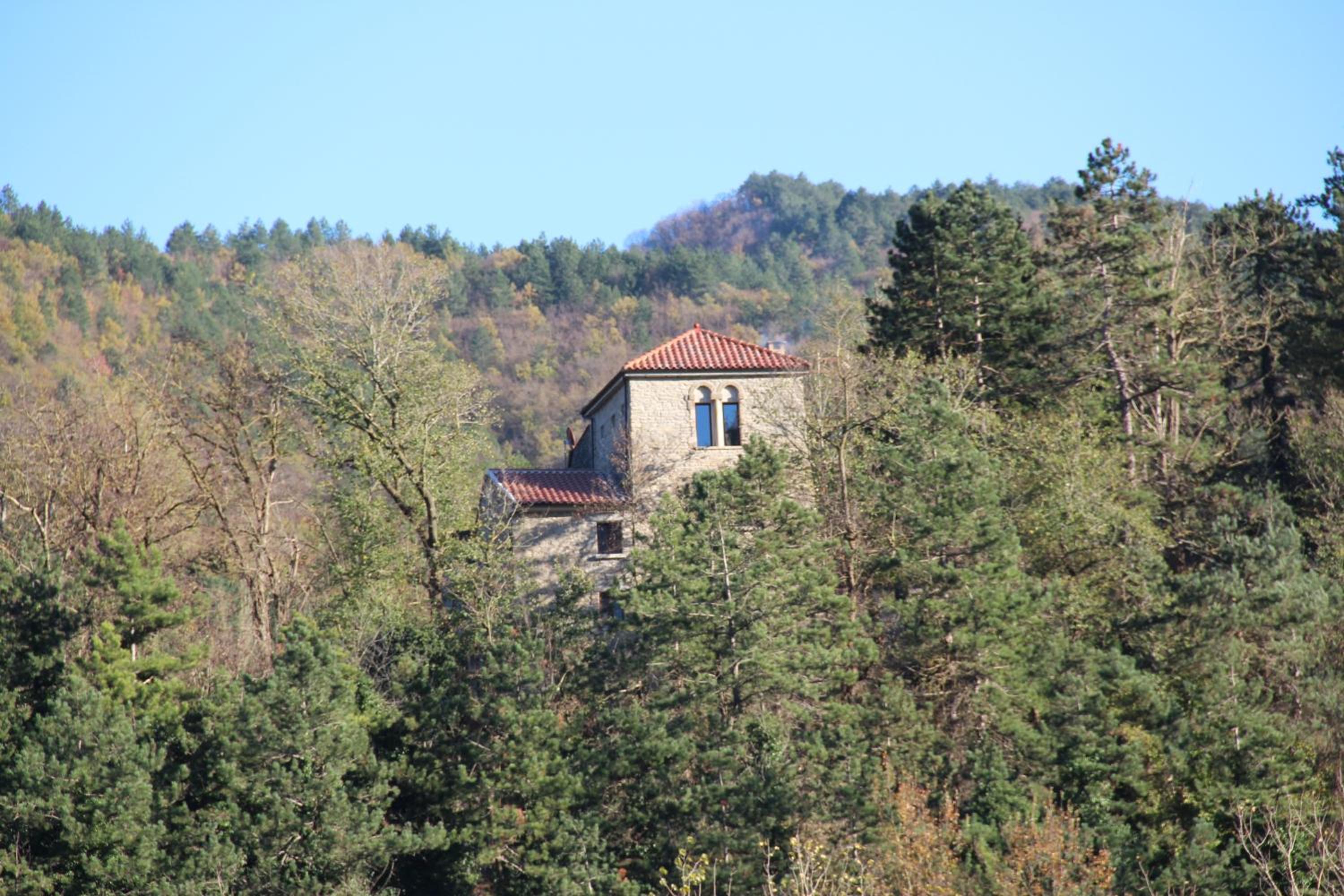 Photo 7