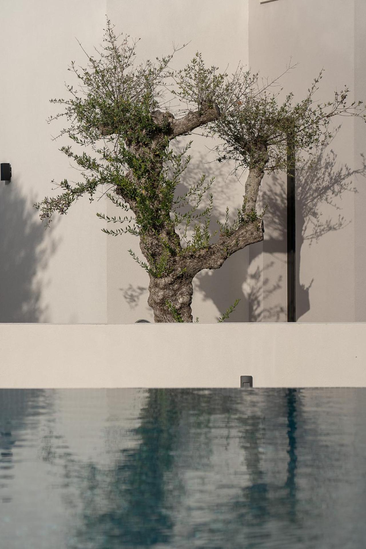 Kymothoe Elite Villas