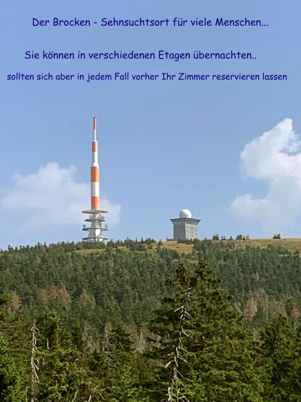 Photo 61