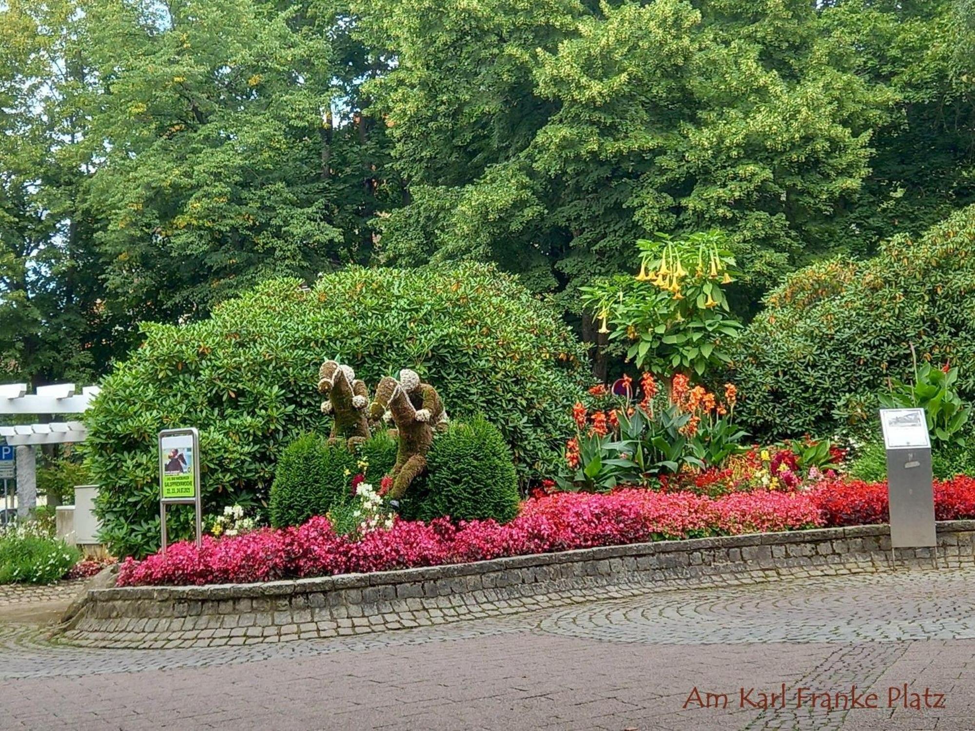 Photo 66