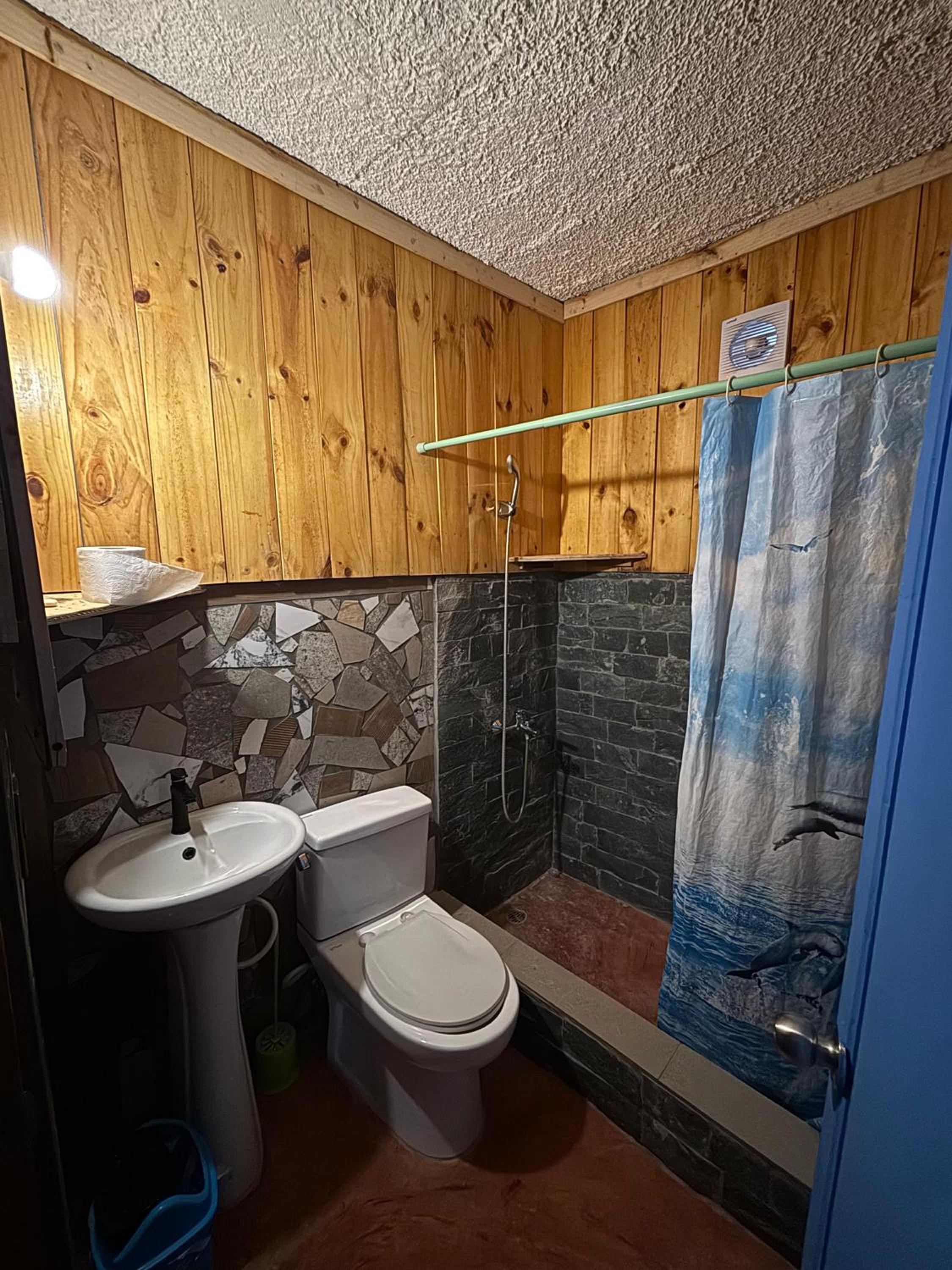 Hostel La Ballena Backpacker