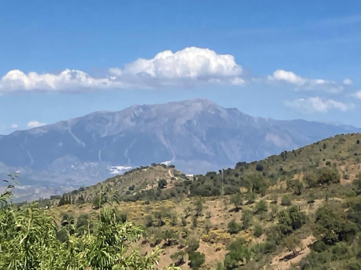 Lagar De Trevenez Montes De Malaga