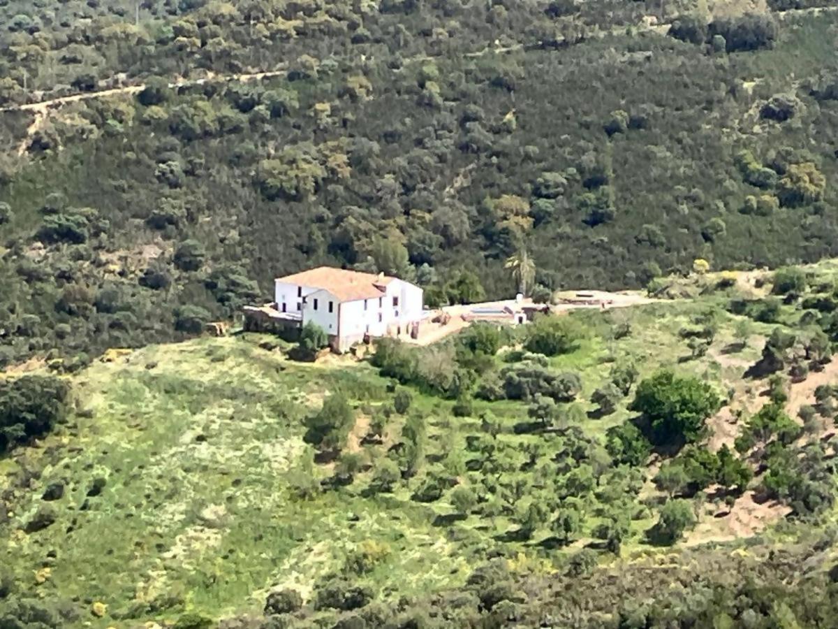 Lagar De Trevenez Montes De Malaga