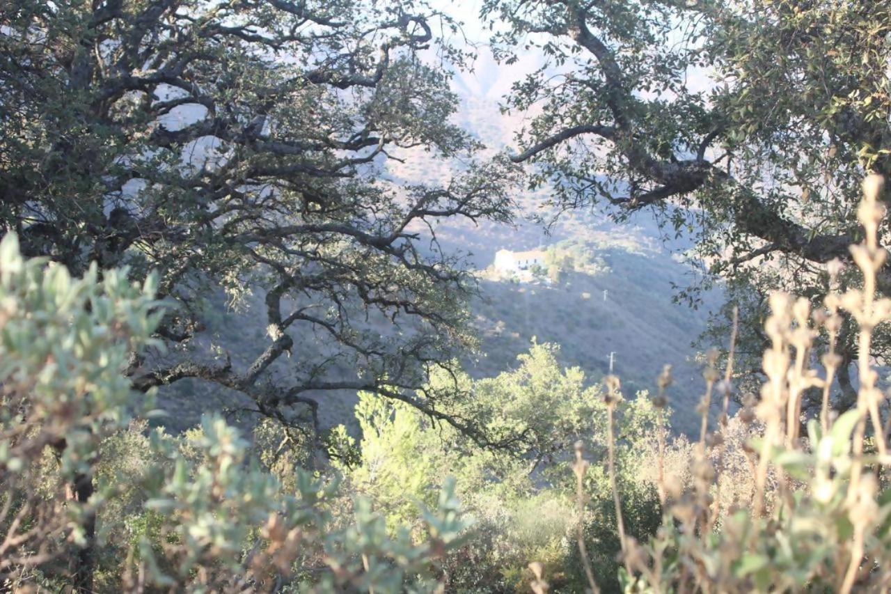 Lagar De Trevenez Montes De Malaga
