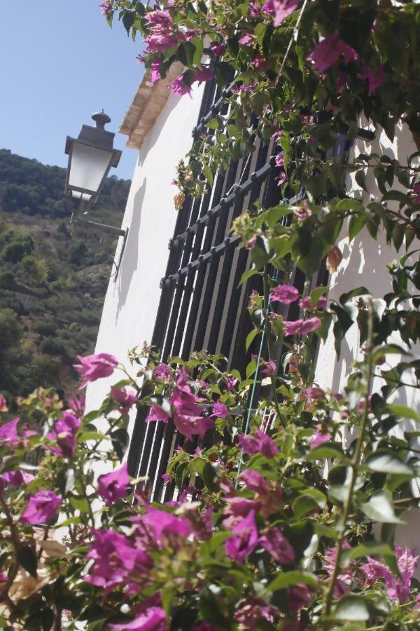 Lagar De Trevenez Montes De Malaga