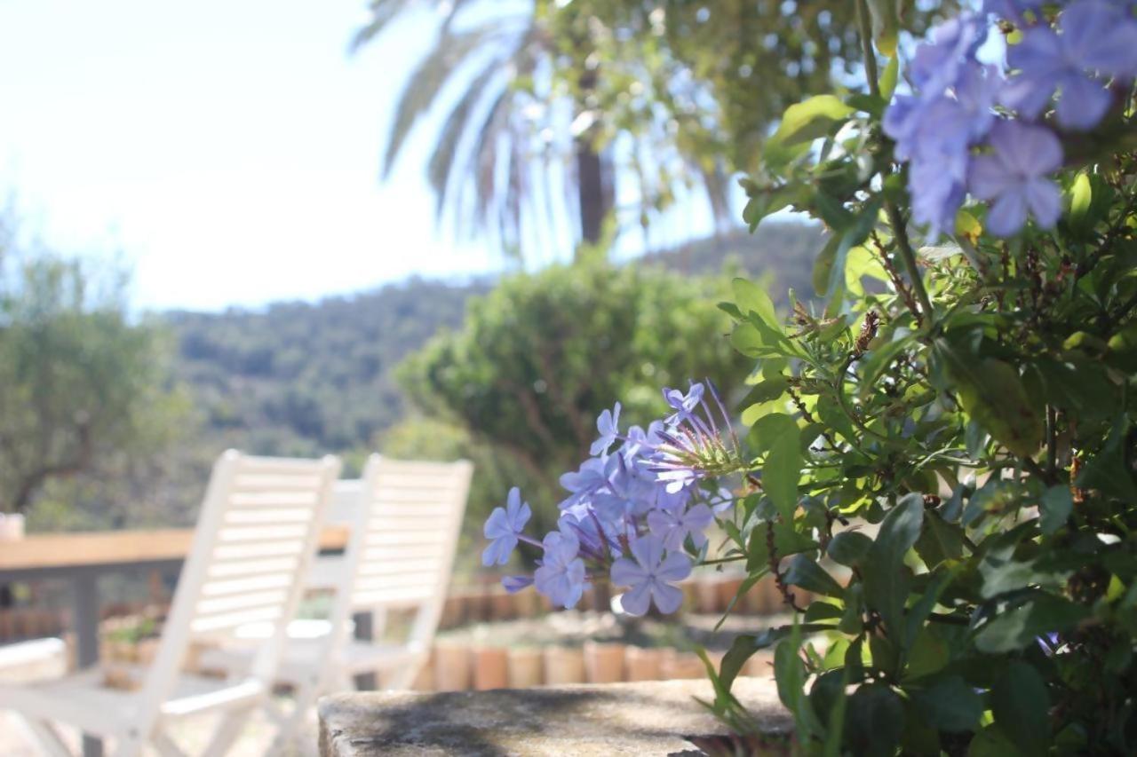 Lagar De Trevenez Montes De Malaga