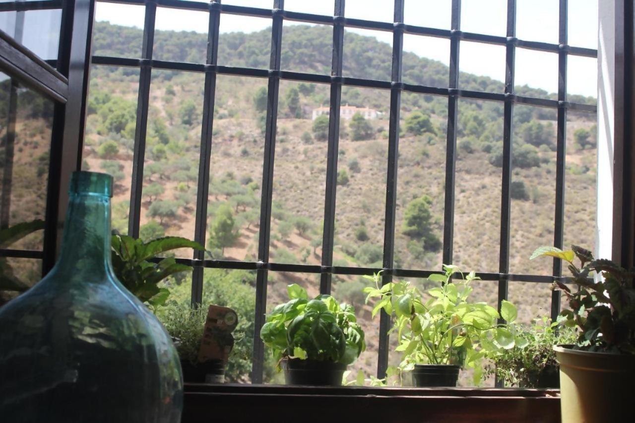 Lagar De Trevenez Montes De Malaga