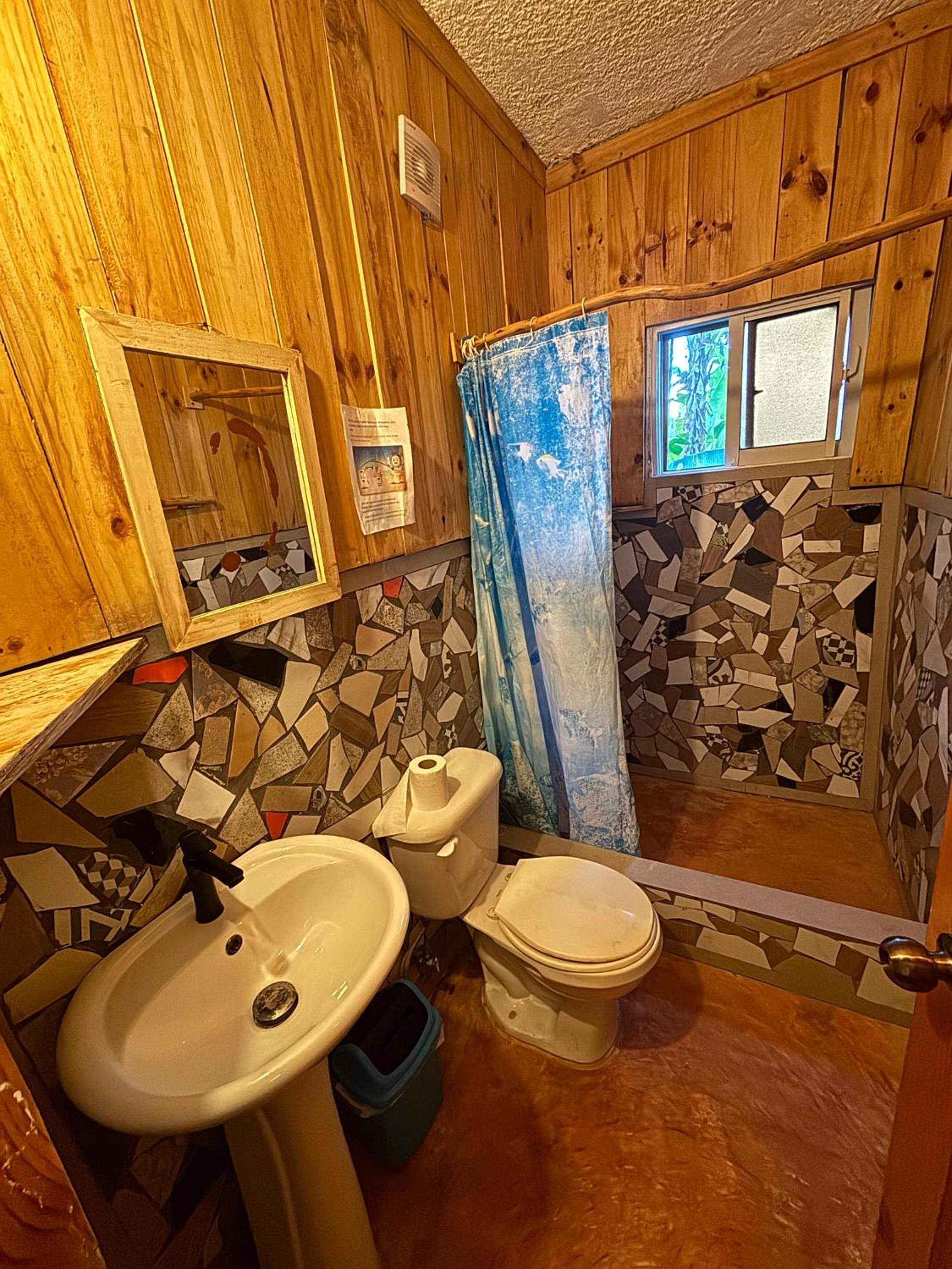 Hostel La Ballena Backpacker