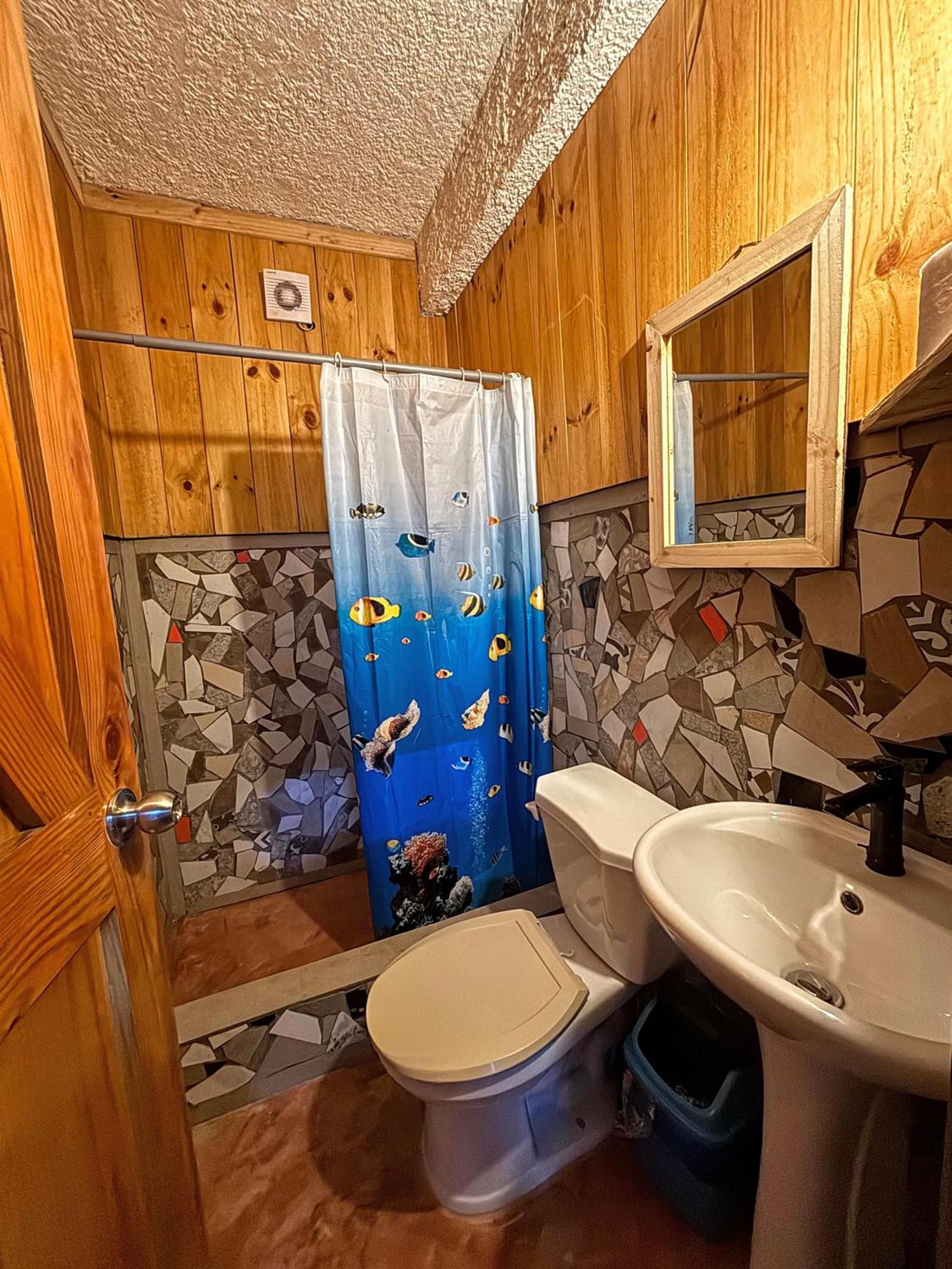 Hostel La Ballena Backpacker
