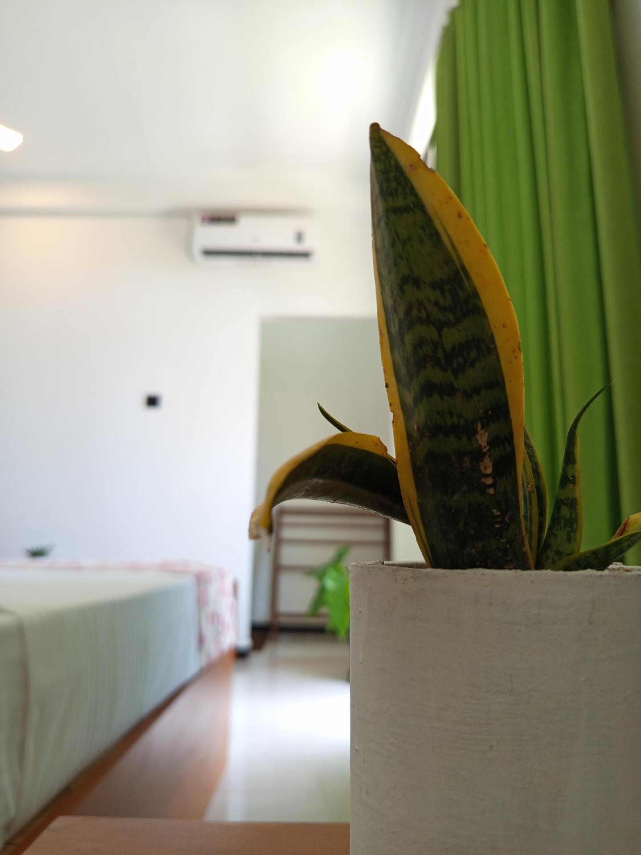 Randon Resort Mirissa