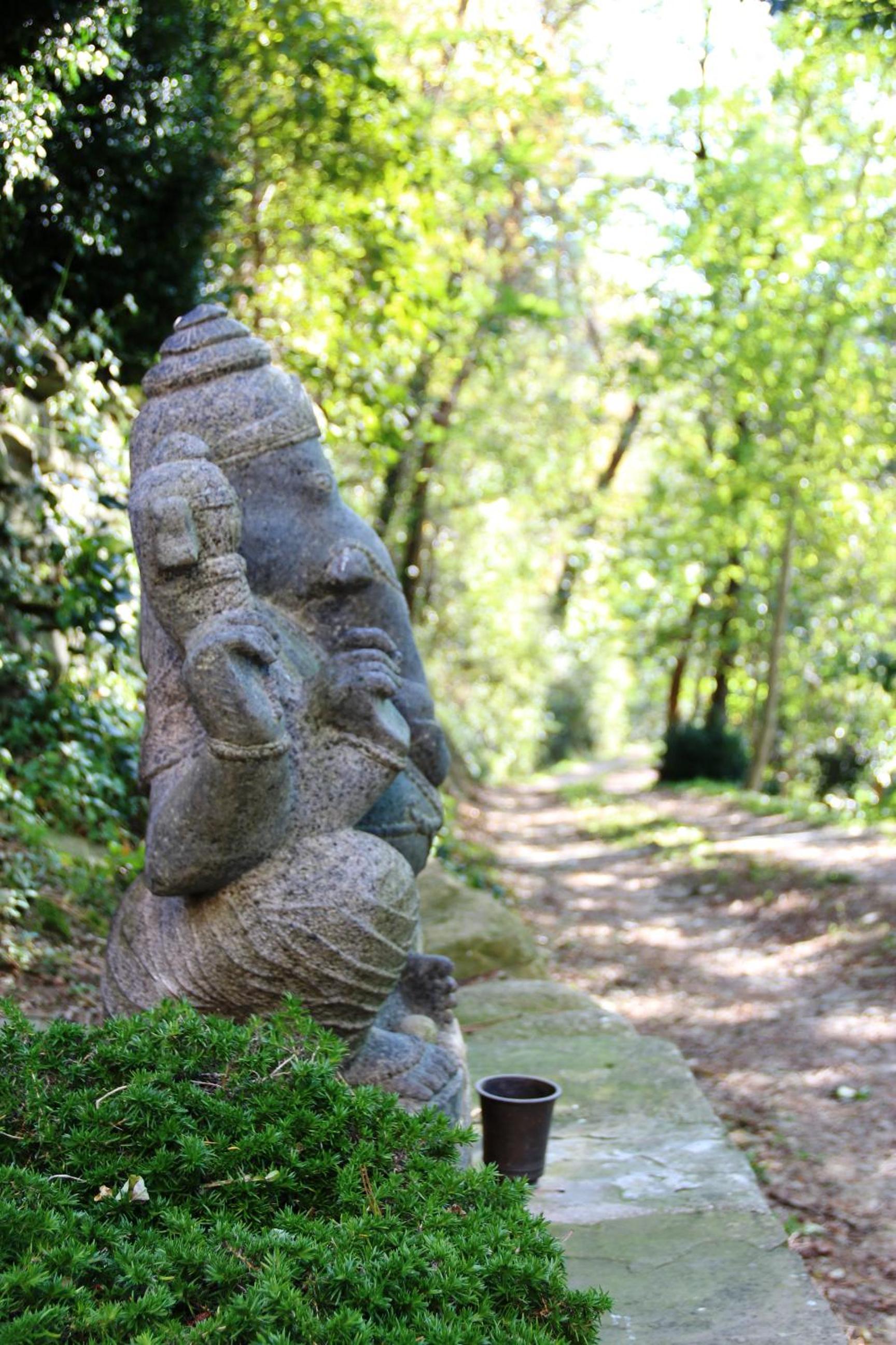 Photo 41