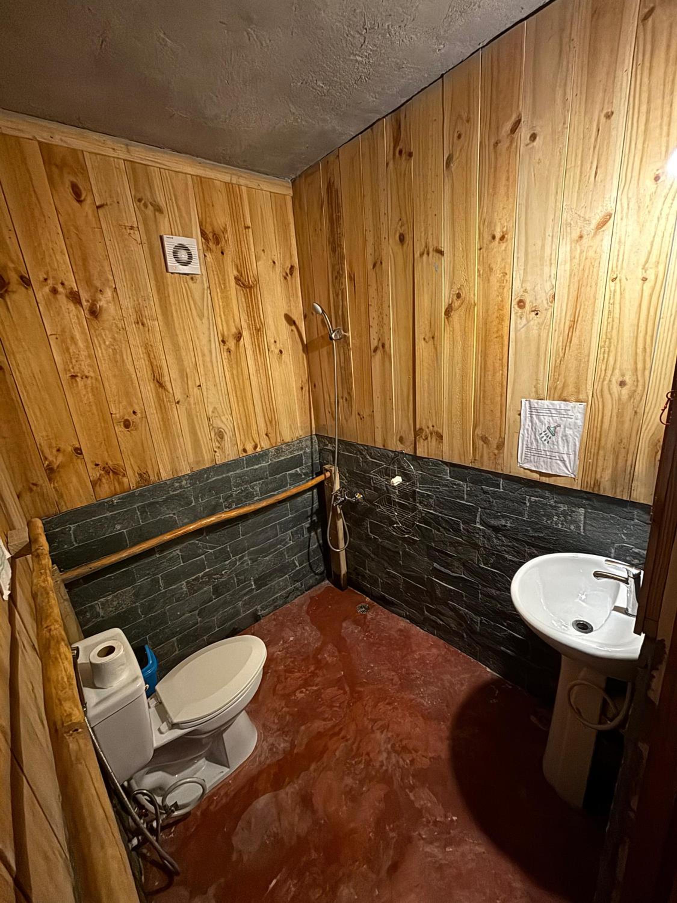 Hostel La Ballena Backpacker