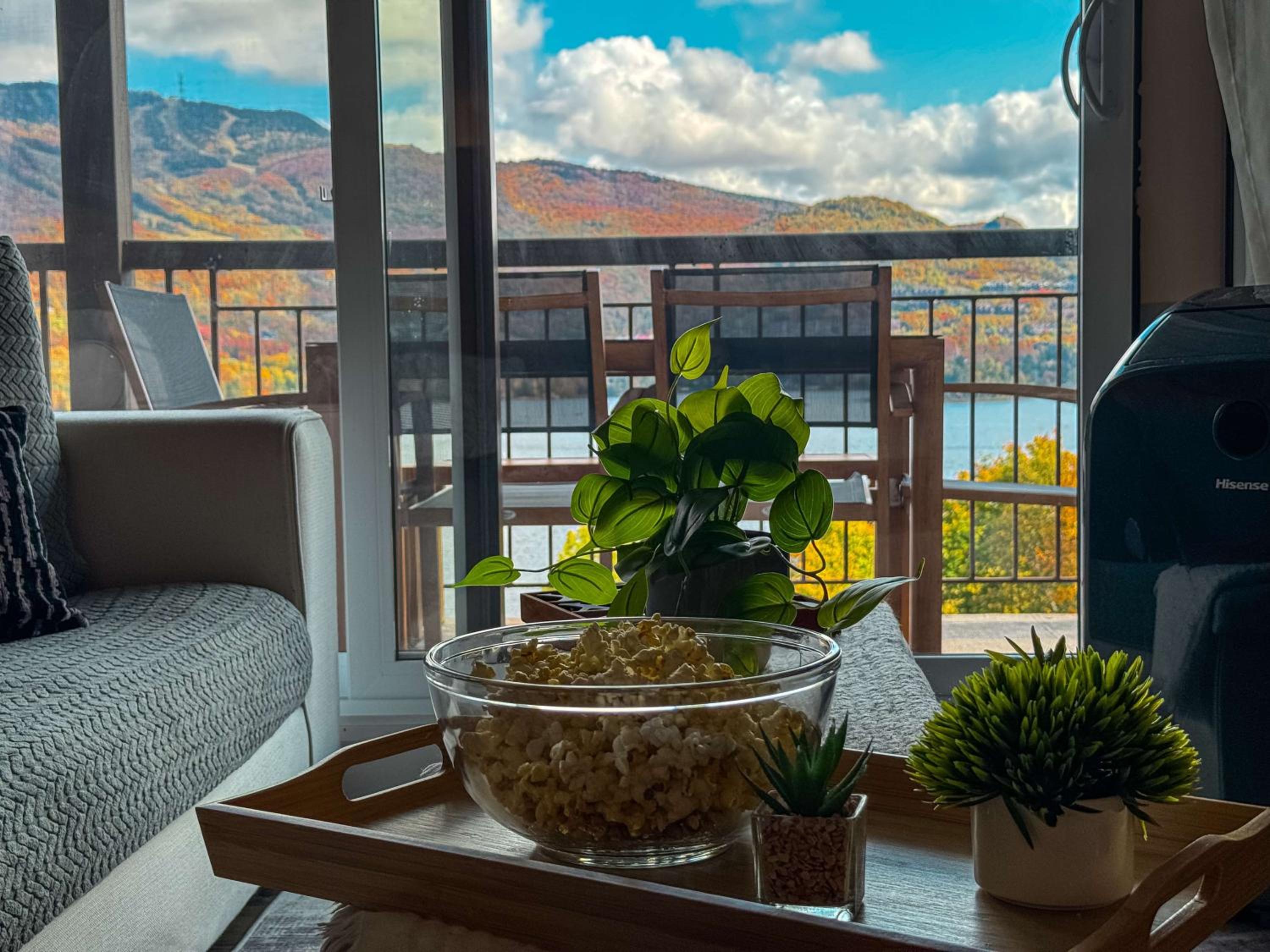 Magnifique VUE LAC et SKI