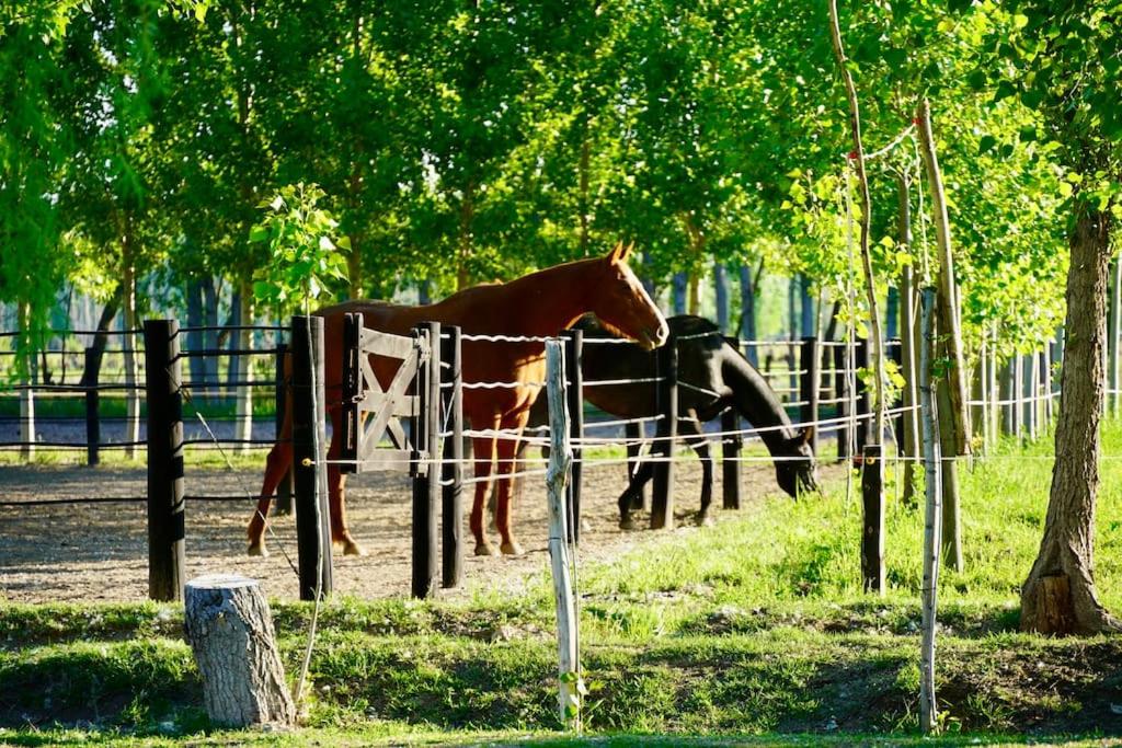 Casa en Valle de Uco, Cerca de Bodegas
