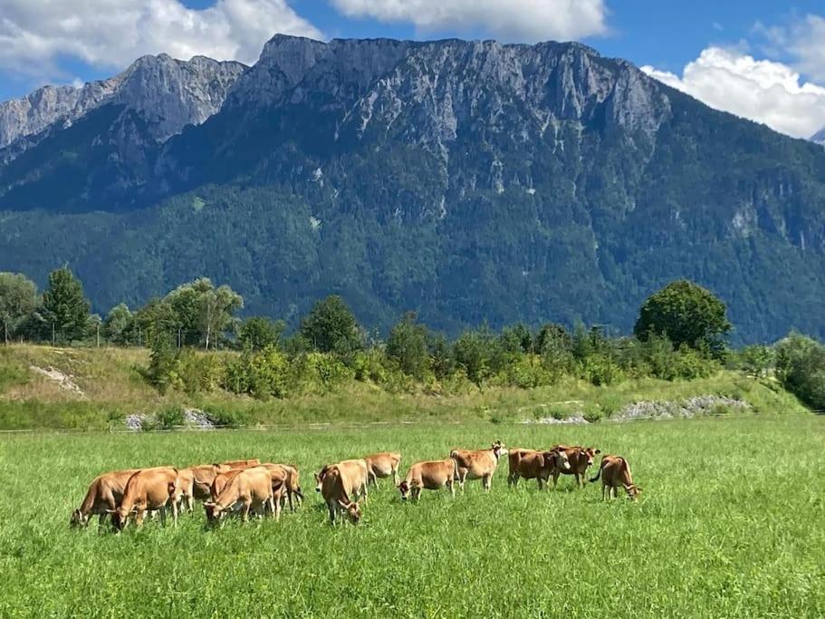 4 Star Maisonnette mit Kaiser Blick, Sauna, Schwimmbad