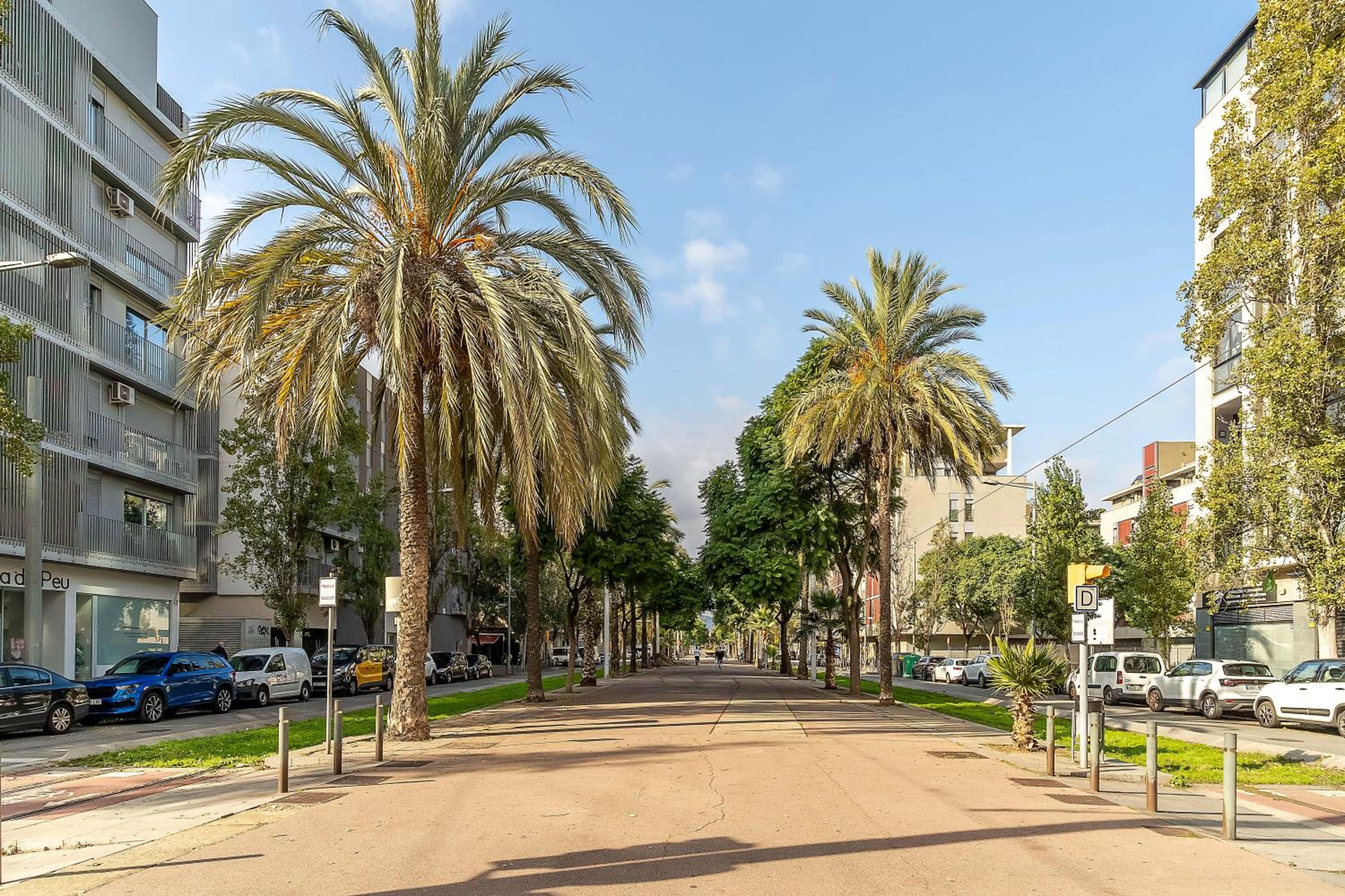 Canela Homes BARCELONA FÒRUM