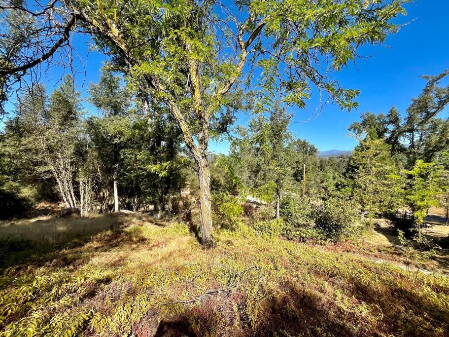 Modern Yosemite Cabin, 15min Bass Lake, Sleeps 8