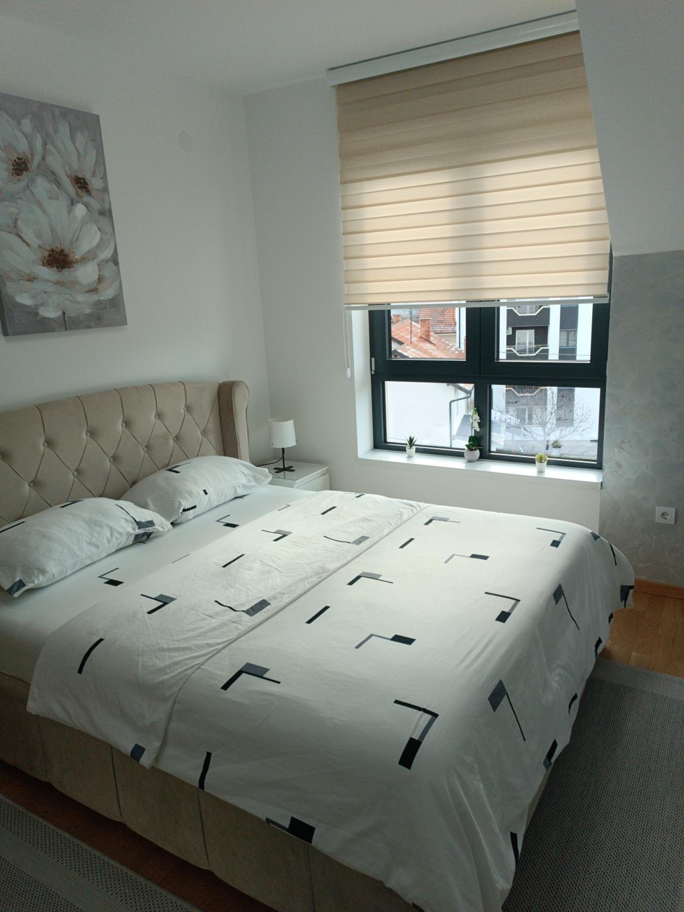 Aleksandar apartman Sokobanja