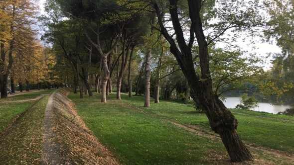 Tirrenia Appartamento Mansarda