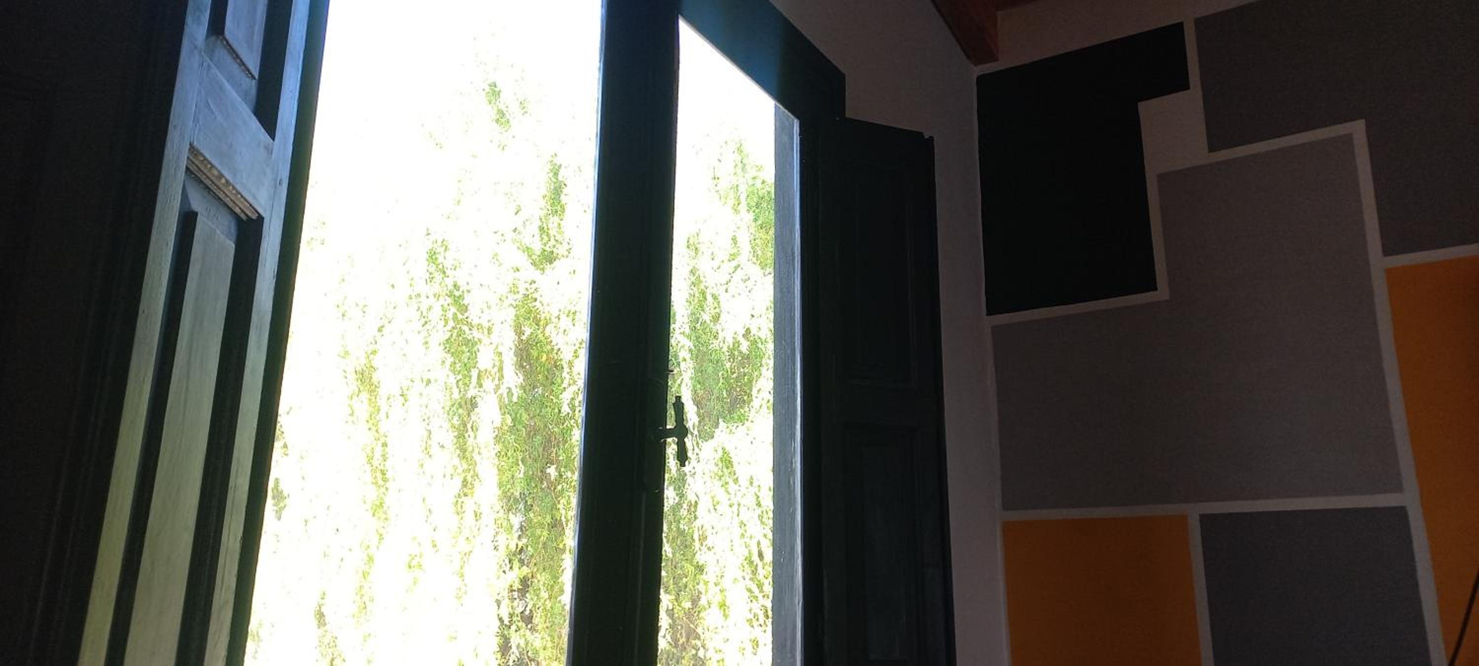 Úrsula, MACONDO