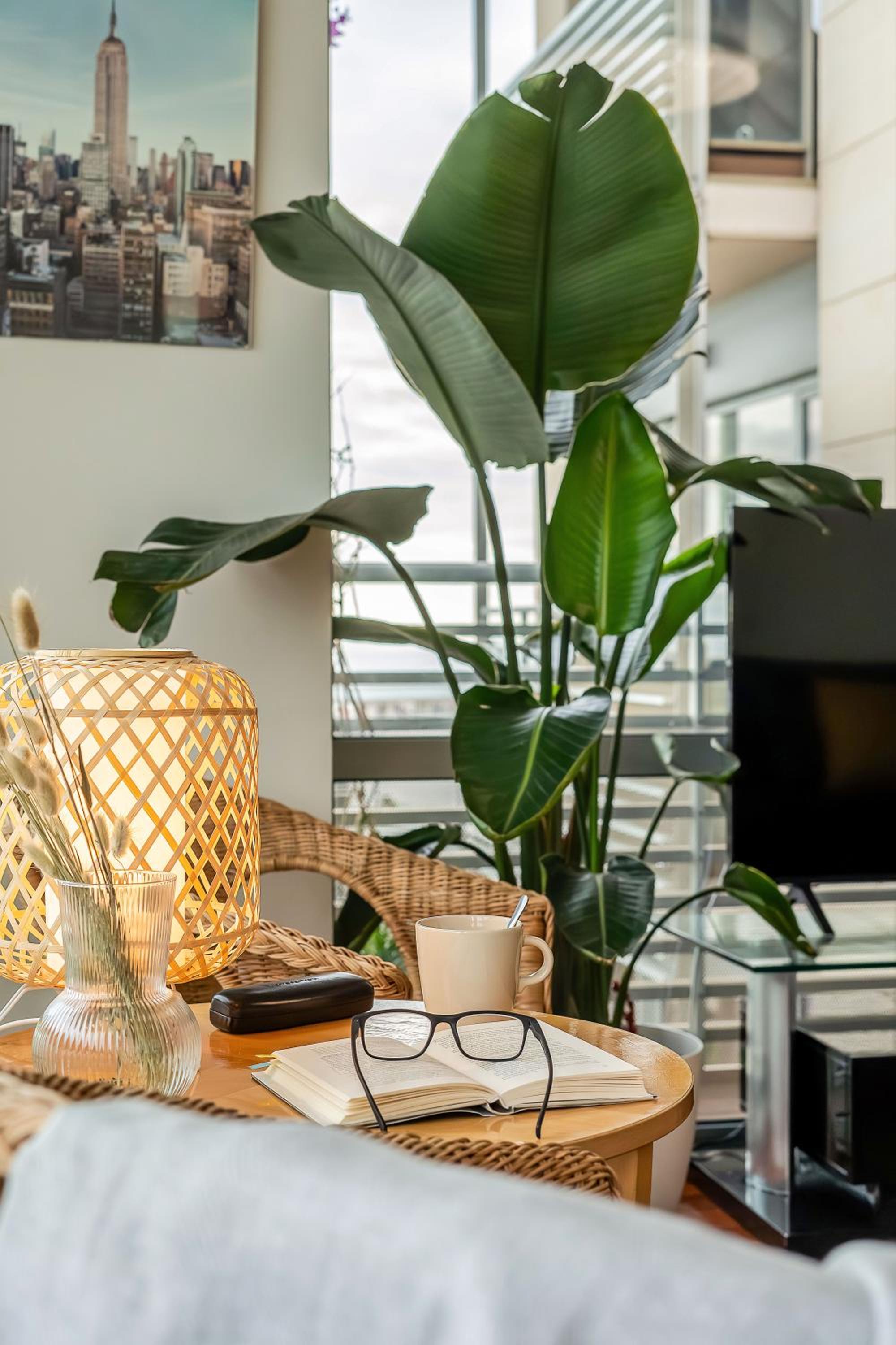 Canela Homes BARCELONA FÒRUM
