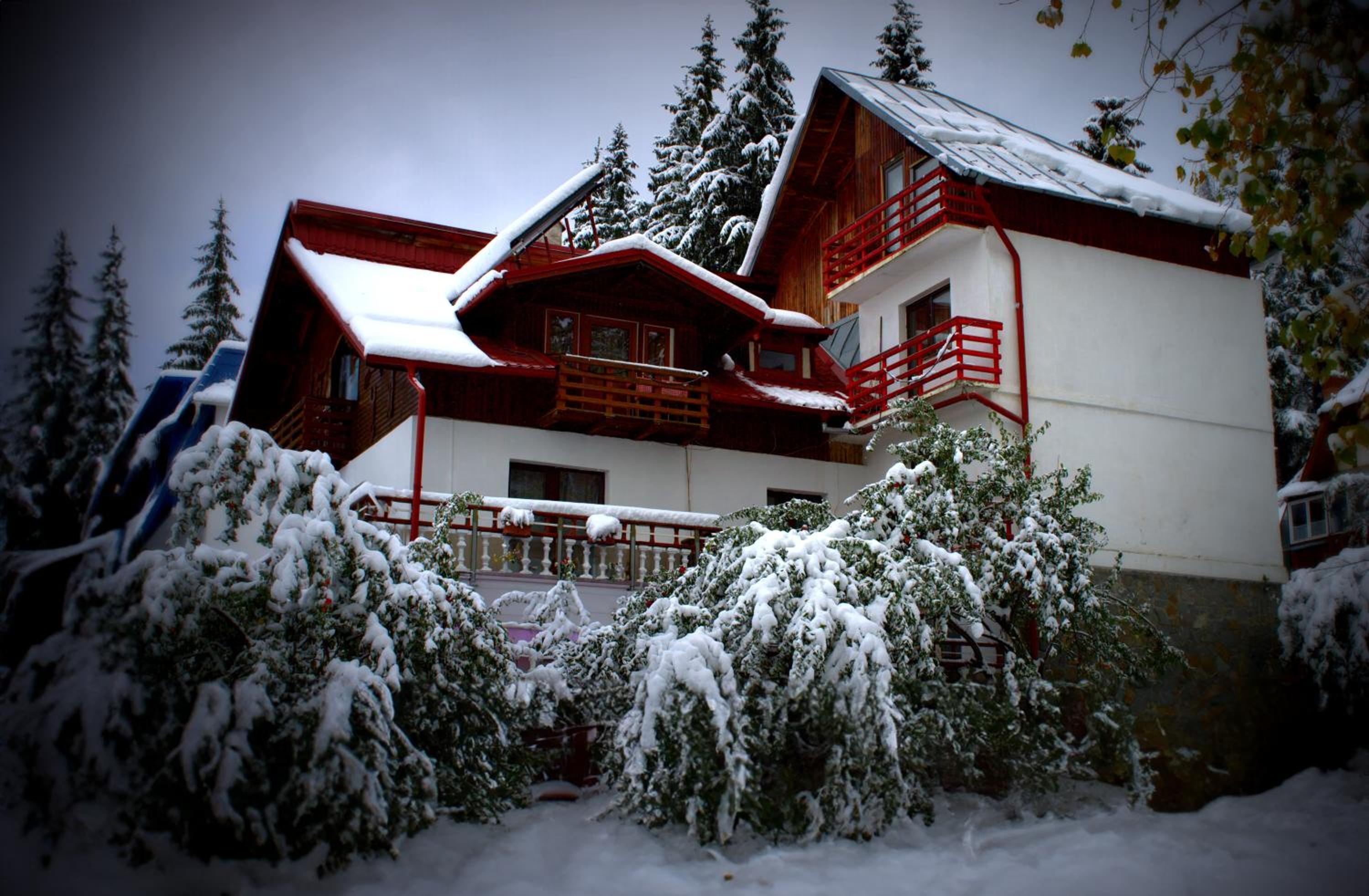 Vila cu vedere spre Bucegi