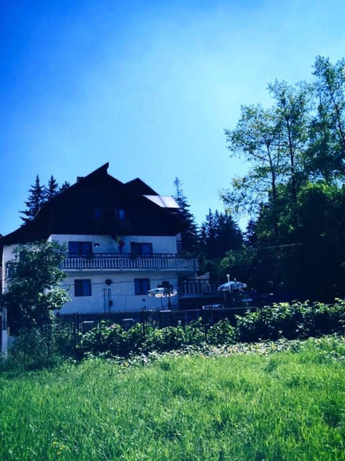Vila cu vedere spre Bucegi