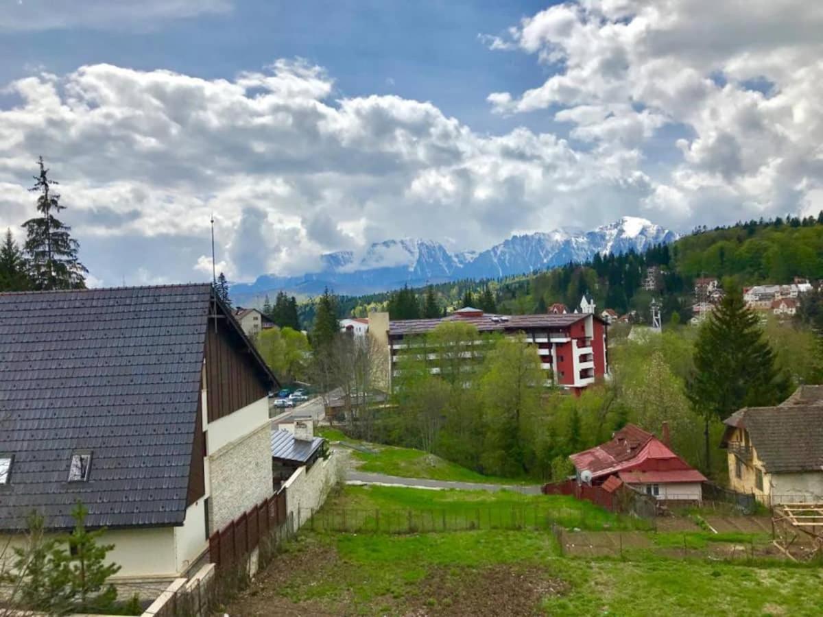 Vila cu vedere spre Bucegi