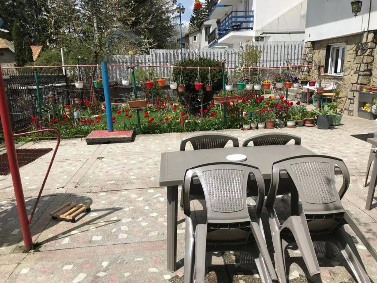 Vila cu vedere spre Bucegi