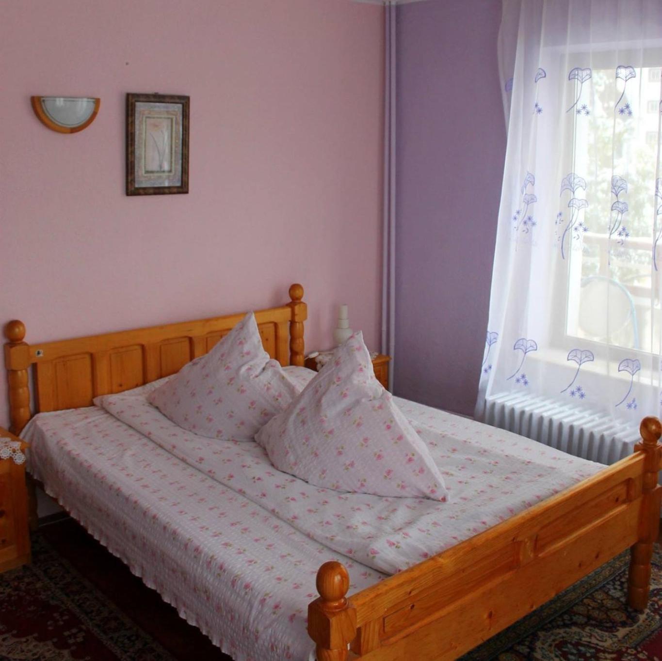 Vila cu vedere spre Bucegi