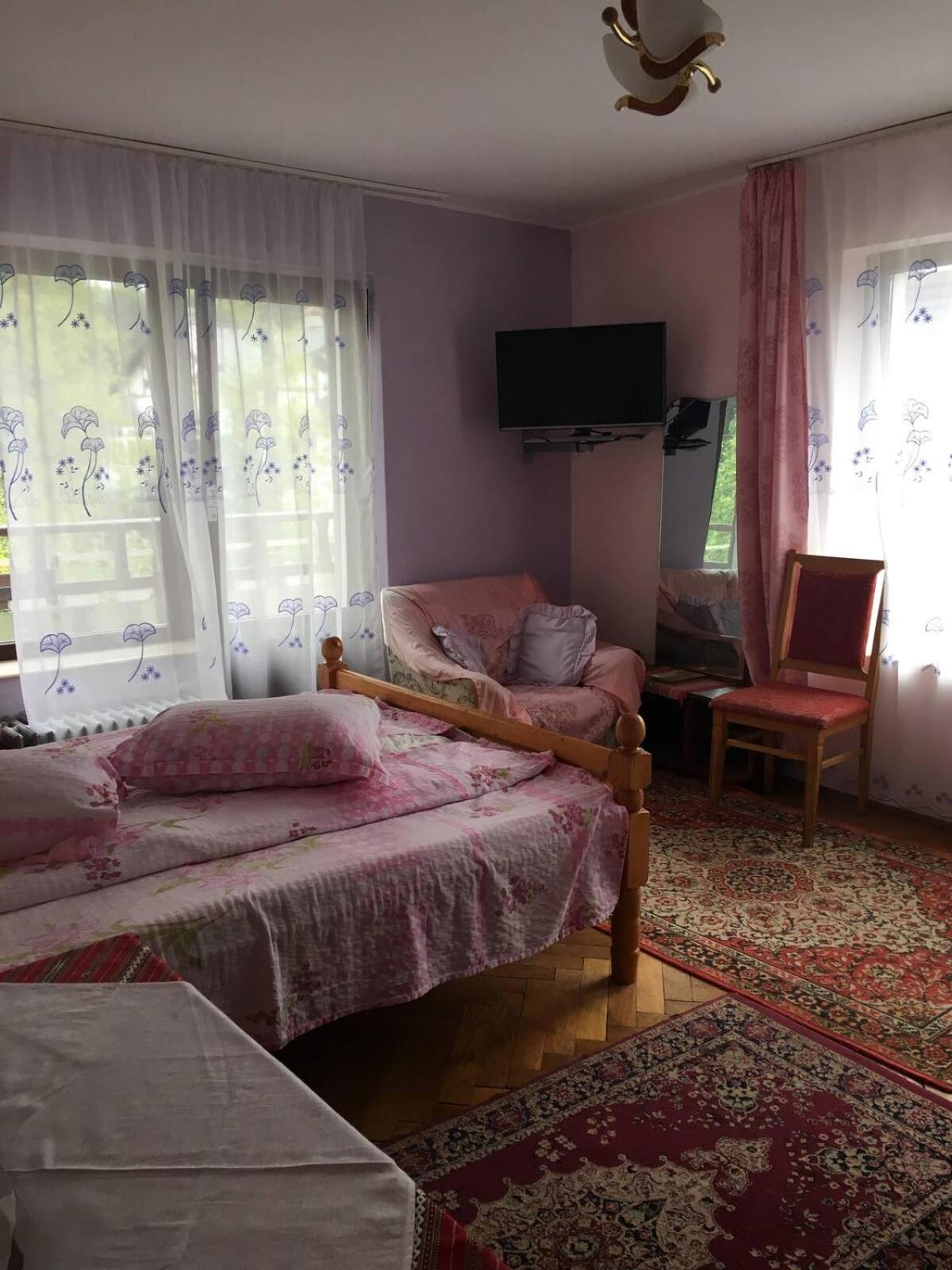 Vila cu vedere spre Bucegi