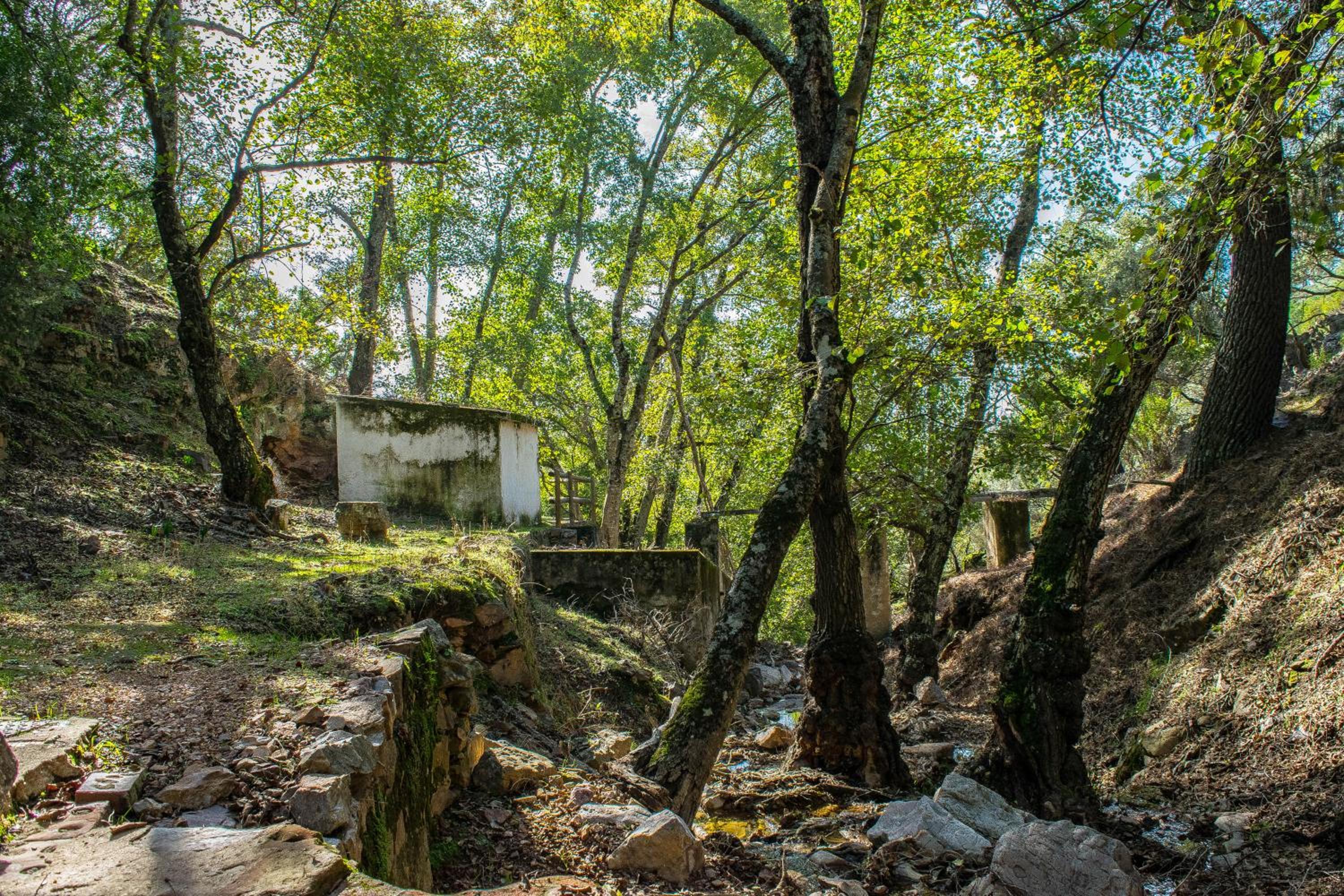 Villamaría, Alma de Despeñaperros
