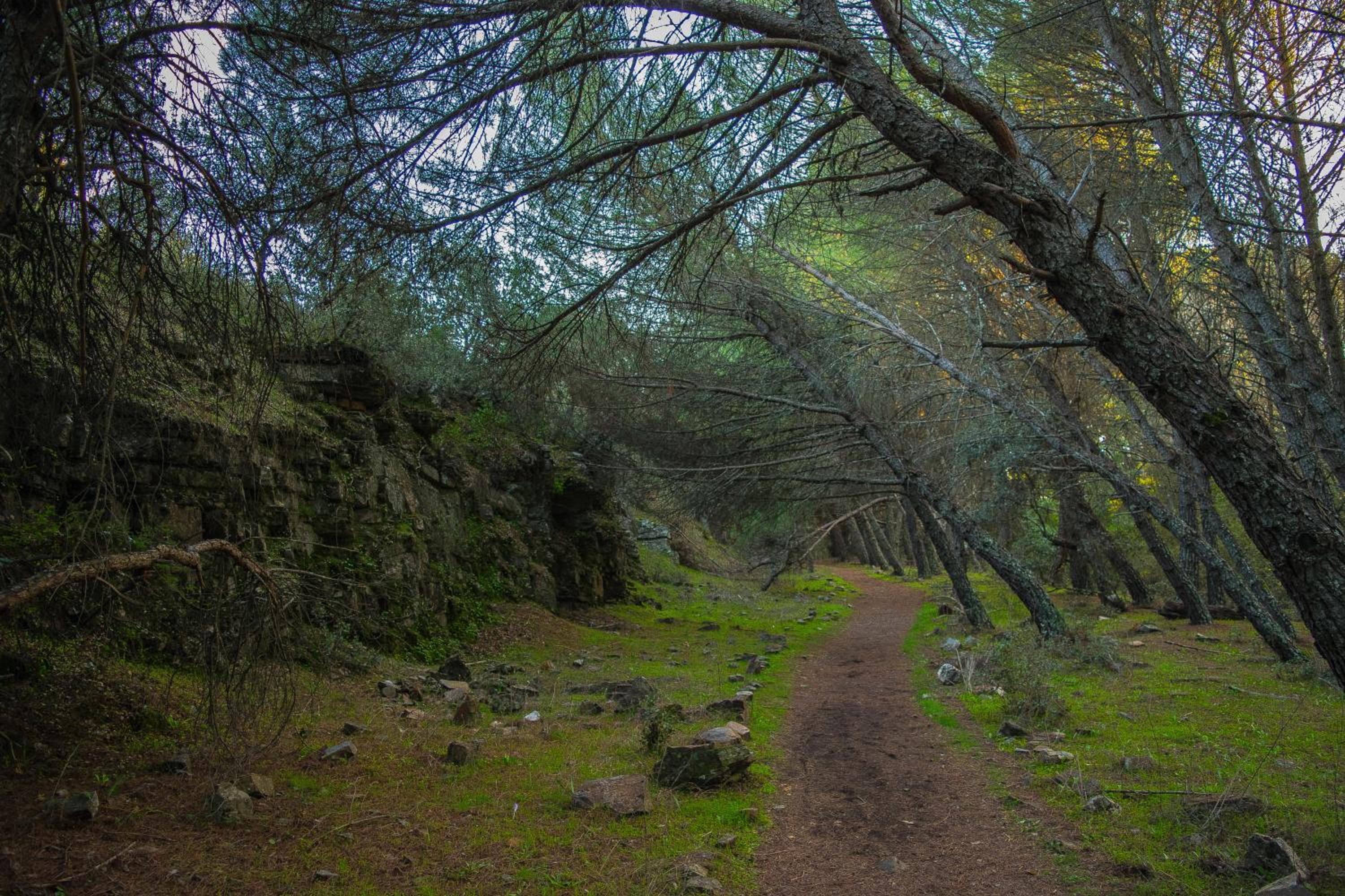 Villamaría, Alma de Despeñaperros