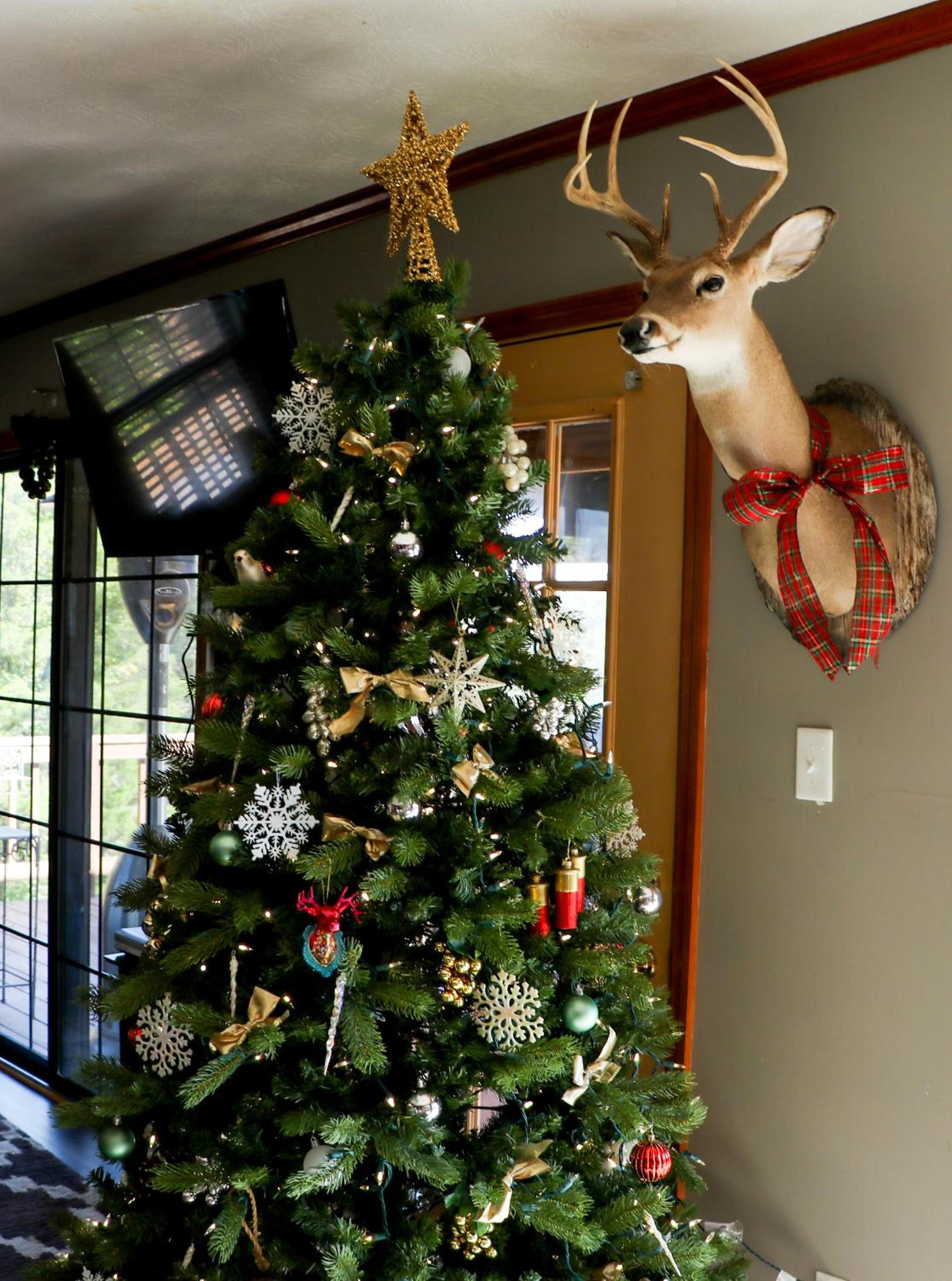 Photo 48