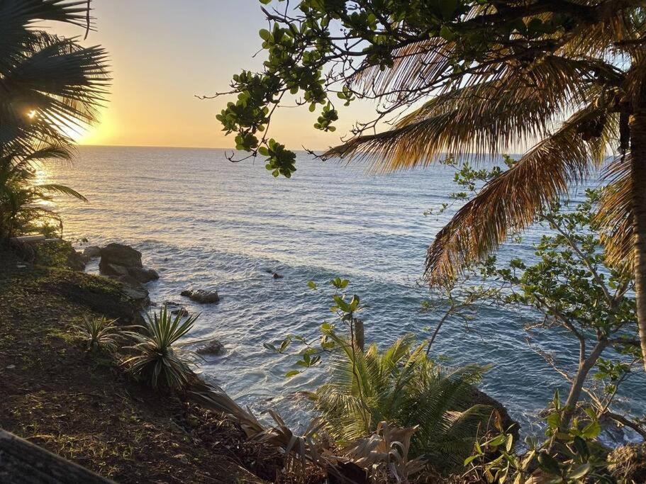 Sapodilla Villa Discover Unspoiled Beauty In Tobago view 4