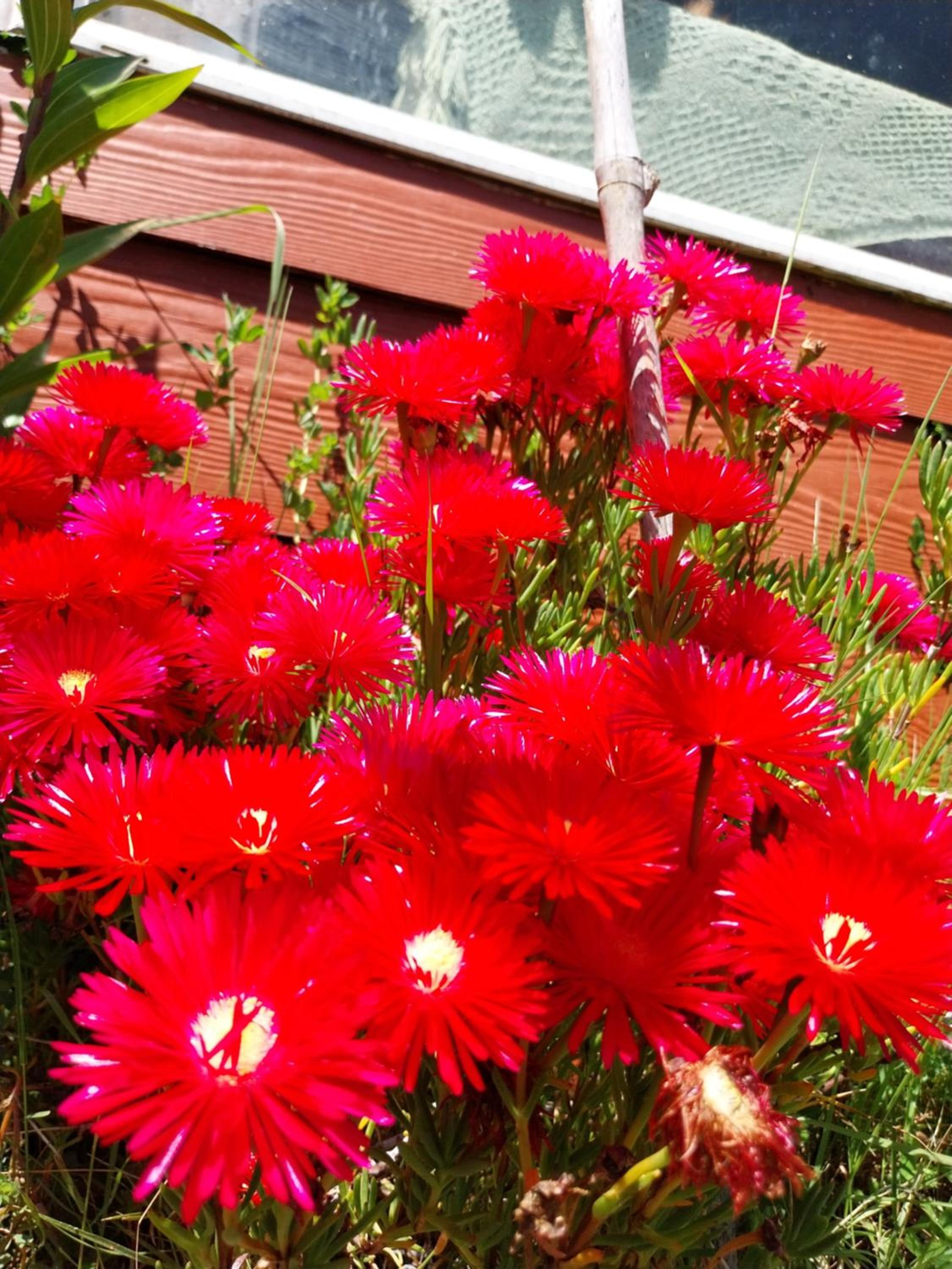 ACOGEDOR DEPARTAMENTO