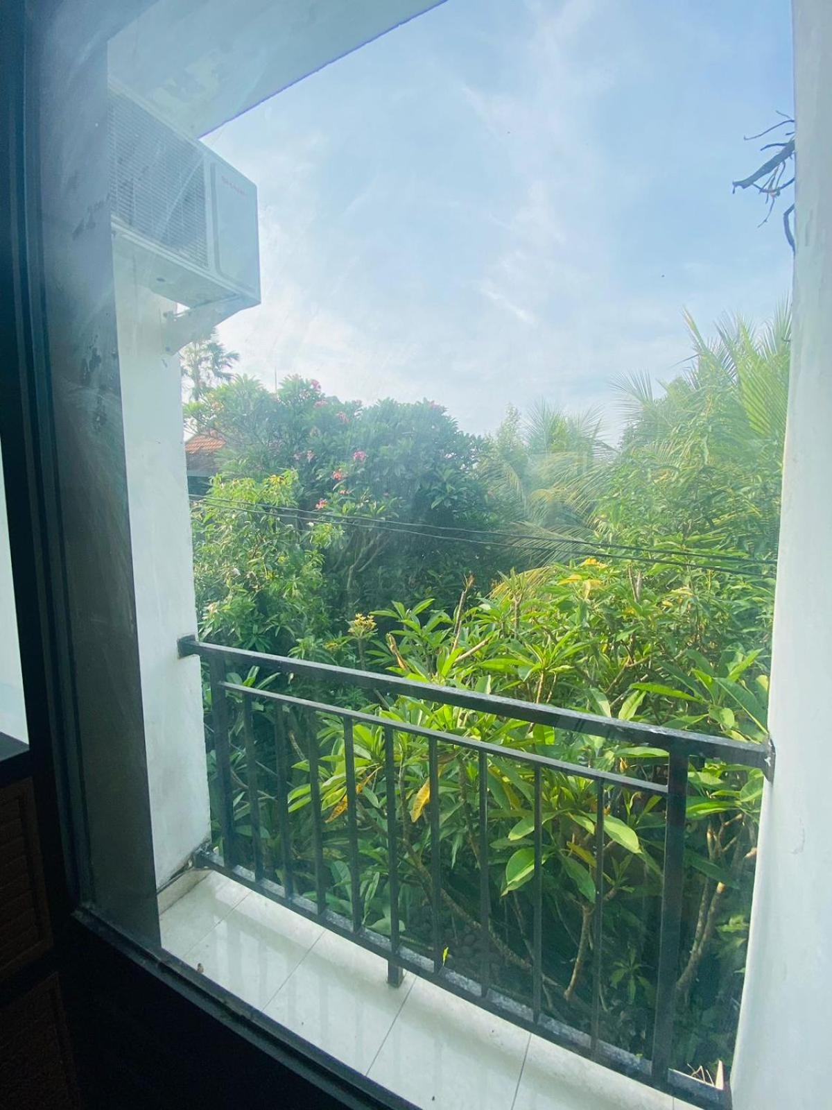 Breezy Guest House