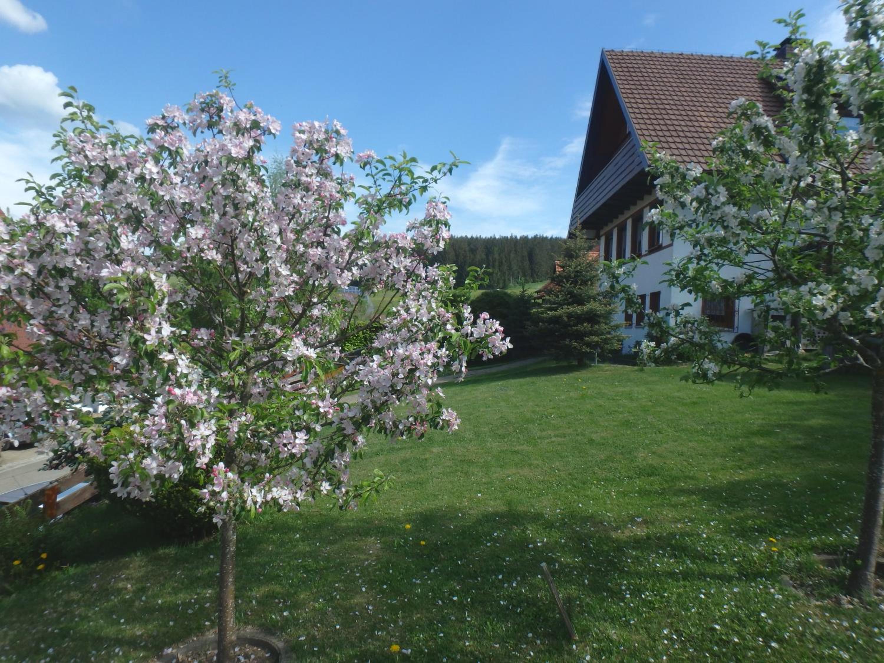 Haus Fehrenbach