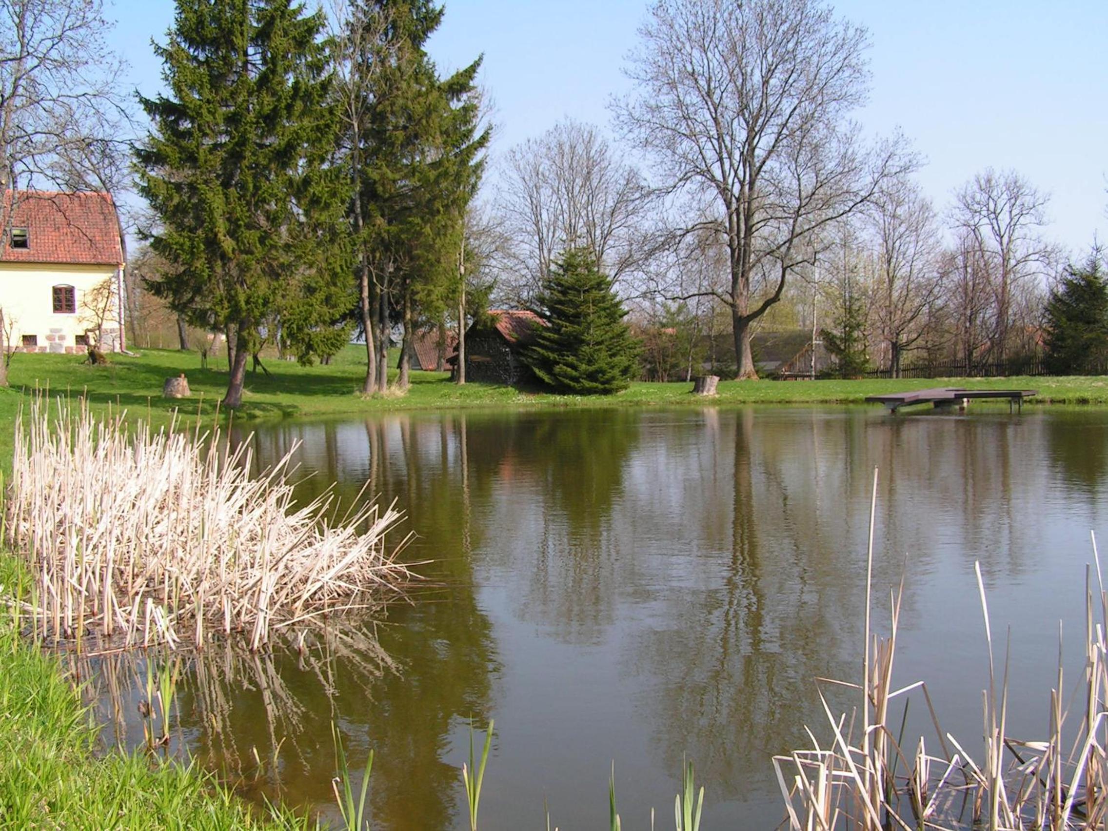 Photo 40
