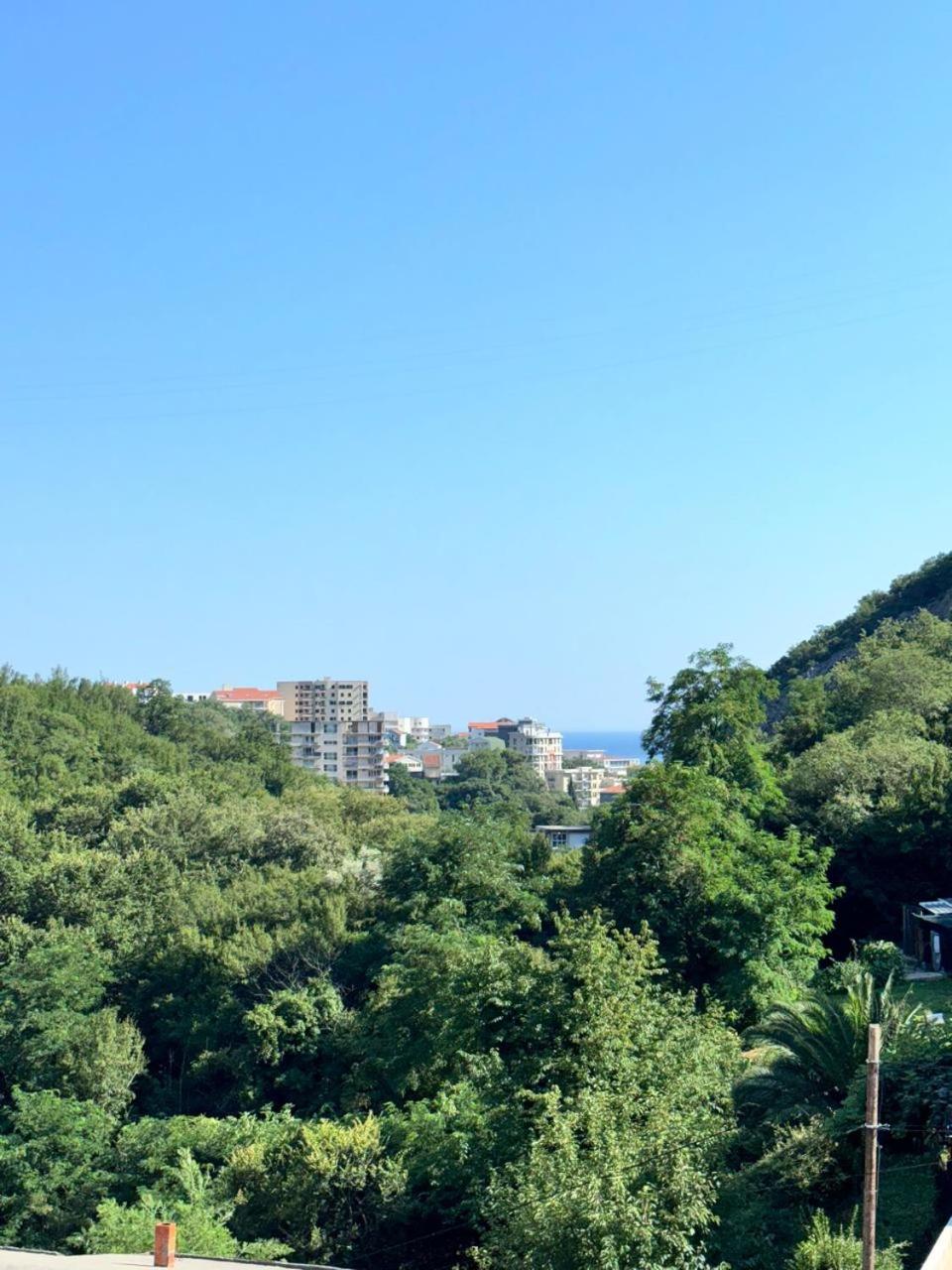 Dale apartment Becici- Paradiso