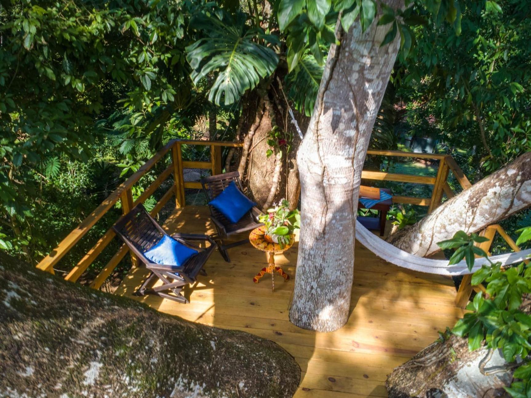 Sweet Songs Jungle Lodge