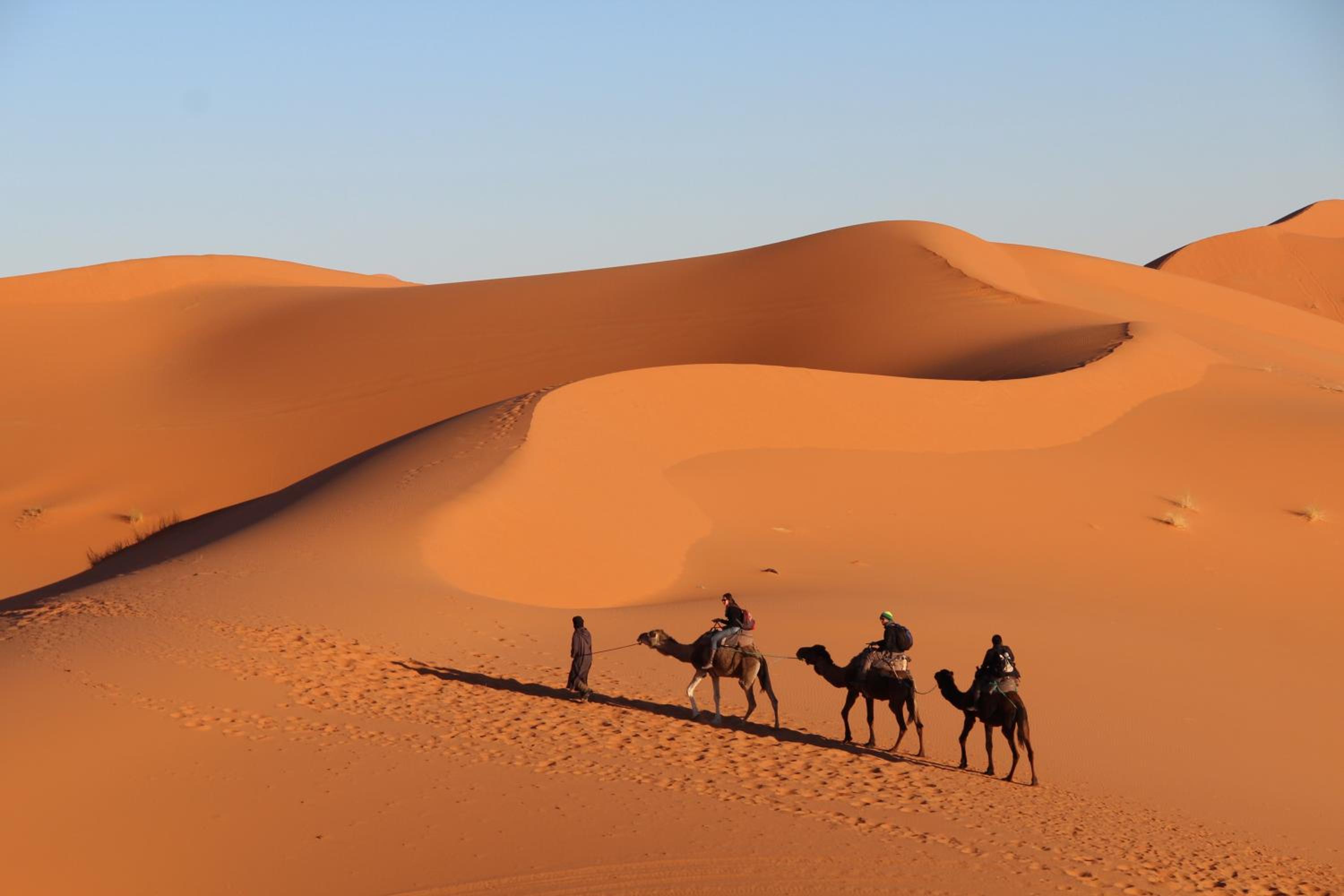 Auberge Kasbah Des Dunes