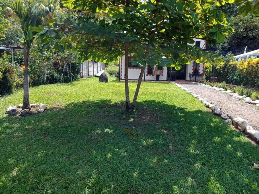 Casa huéspedes Noe