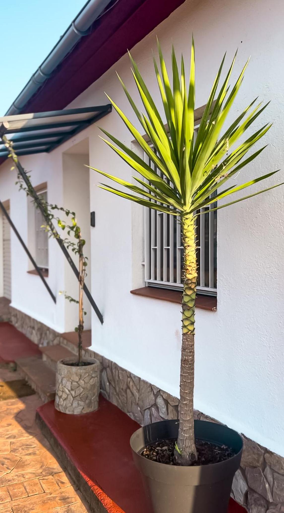 Casa Trigo