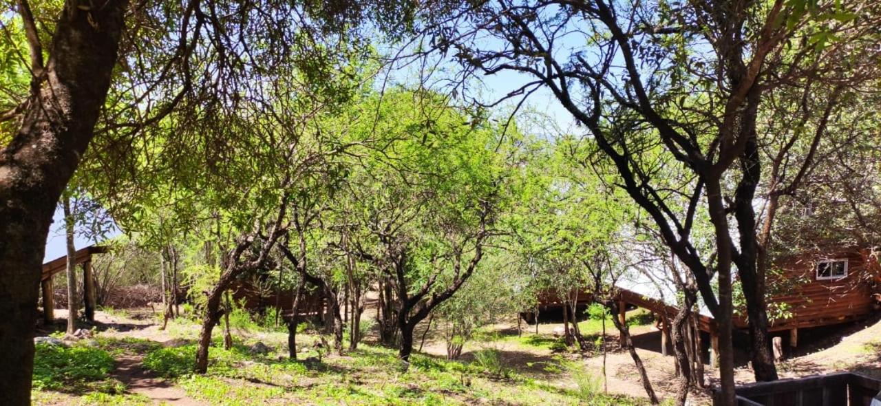Cabañas en las sierras de Córdoba