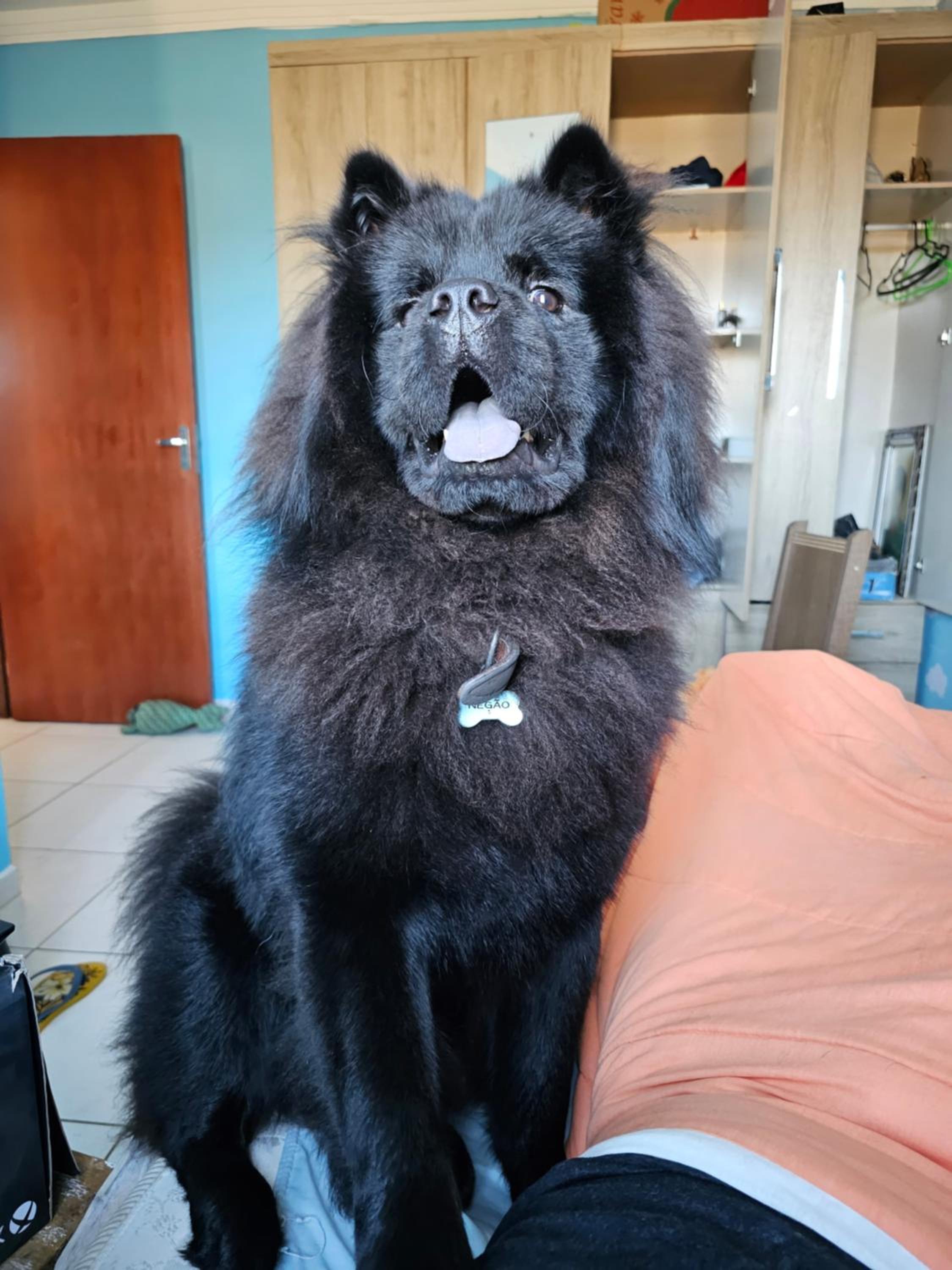 human