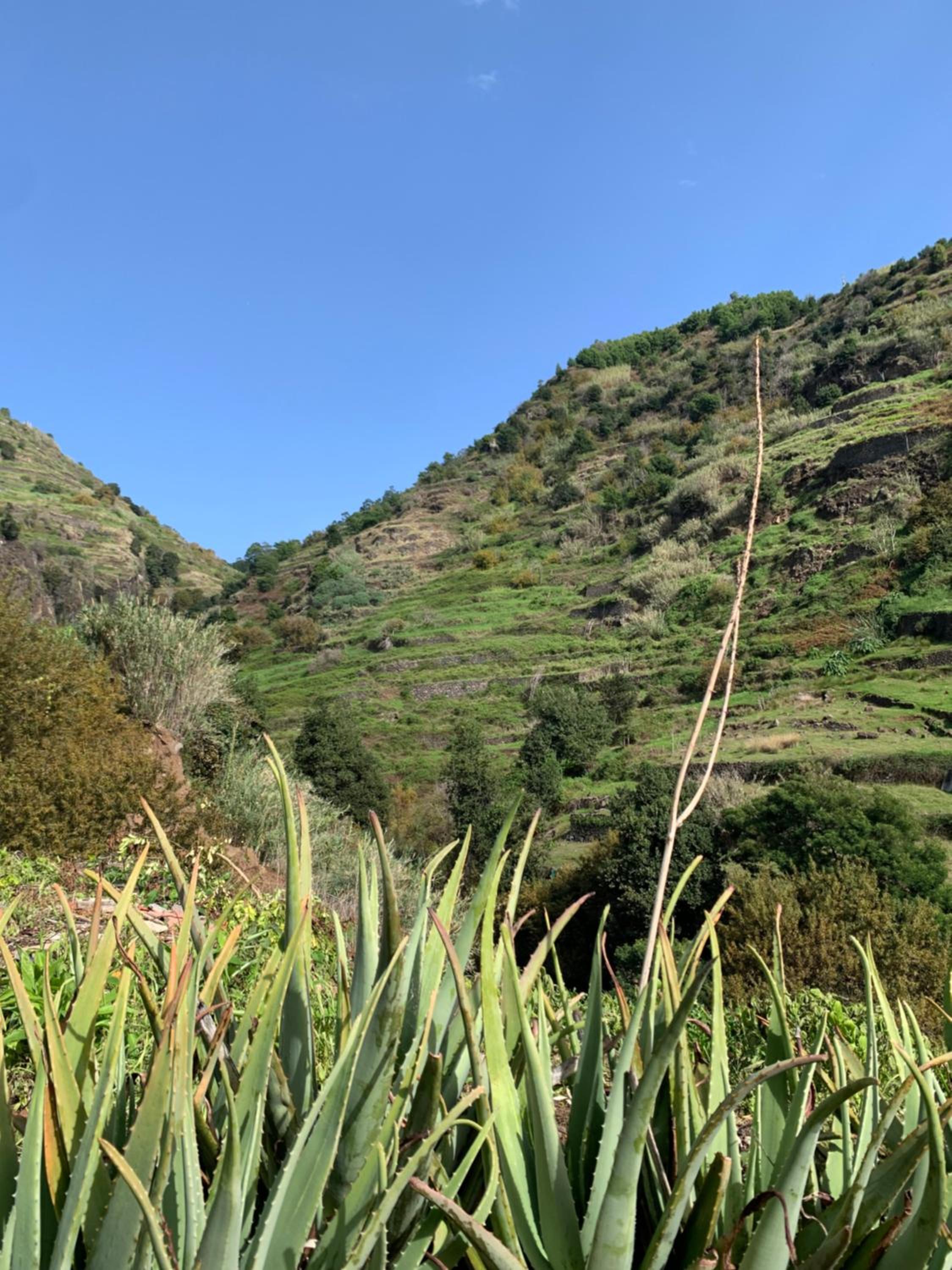 Pico Paraiso Madeira